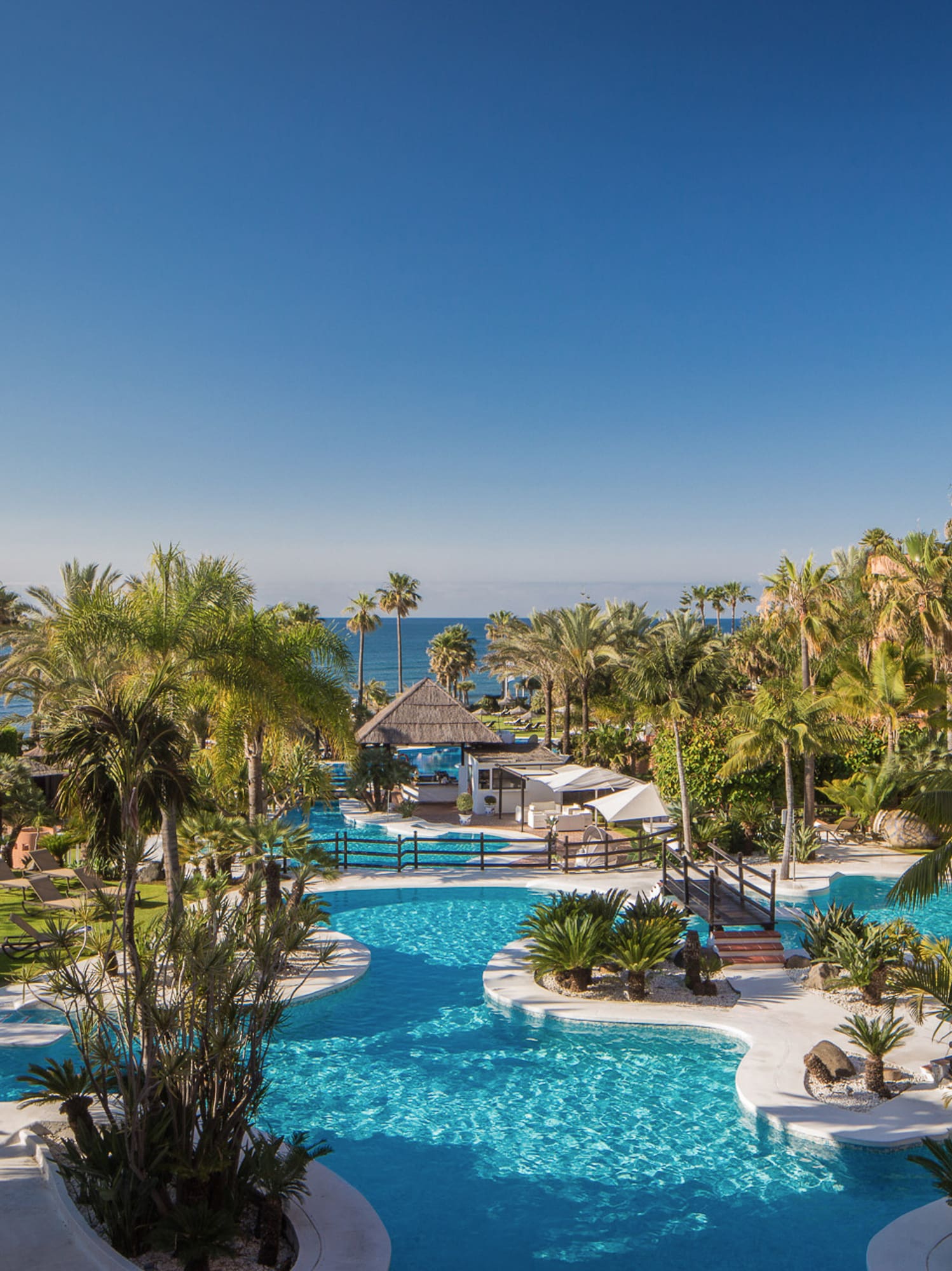 a pool with palm trees and a beach in the background