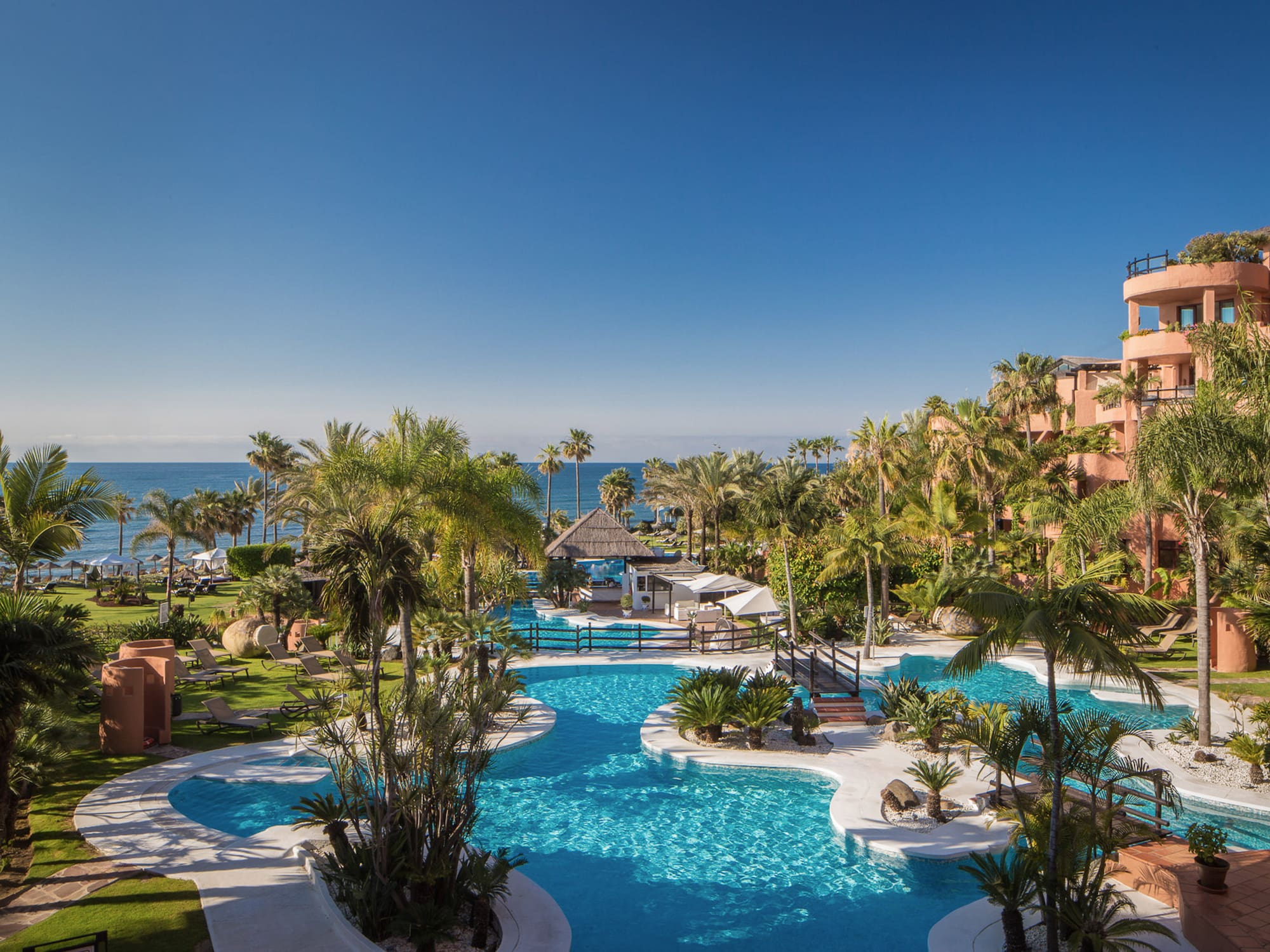 a pool with palm trees and a beach in the background