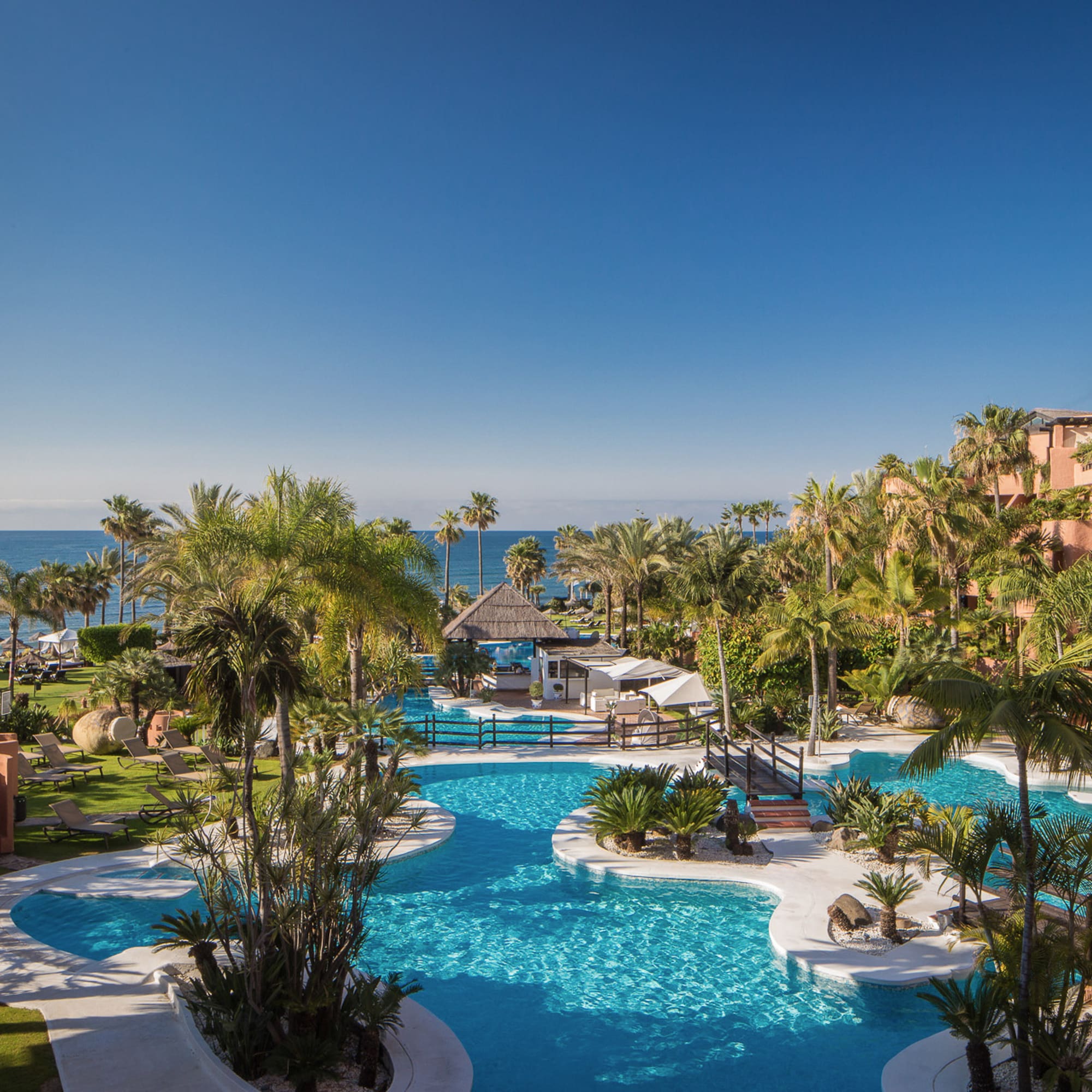 a pool with palm trees and a beach in the background