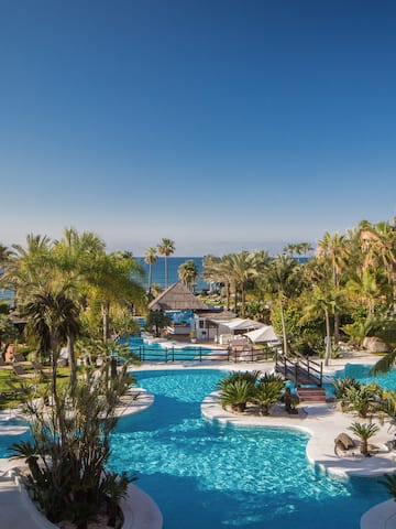 a pool with palm trees and a beach in the background