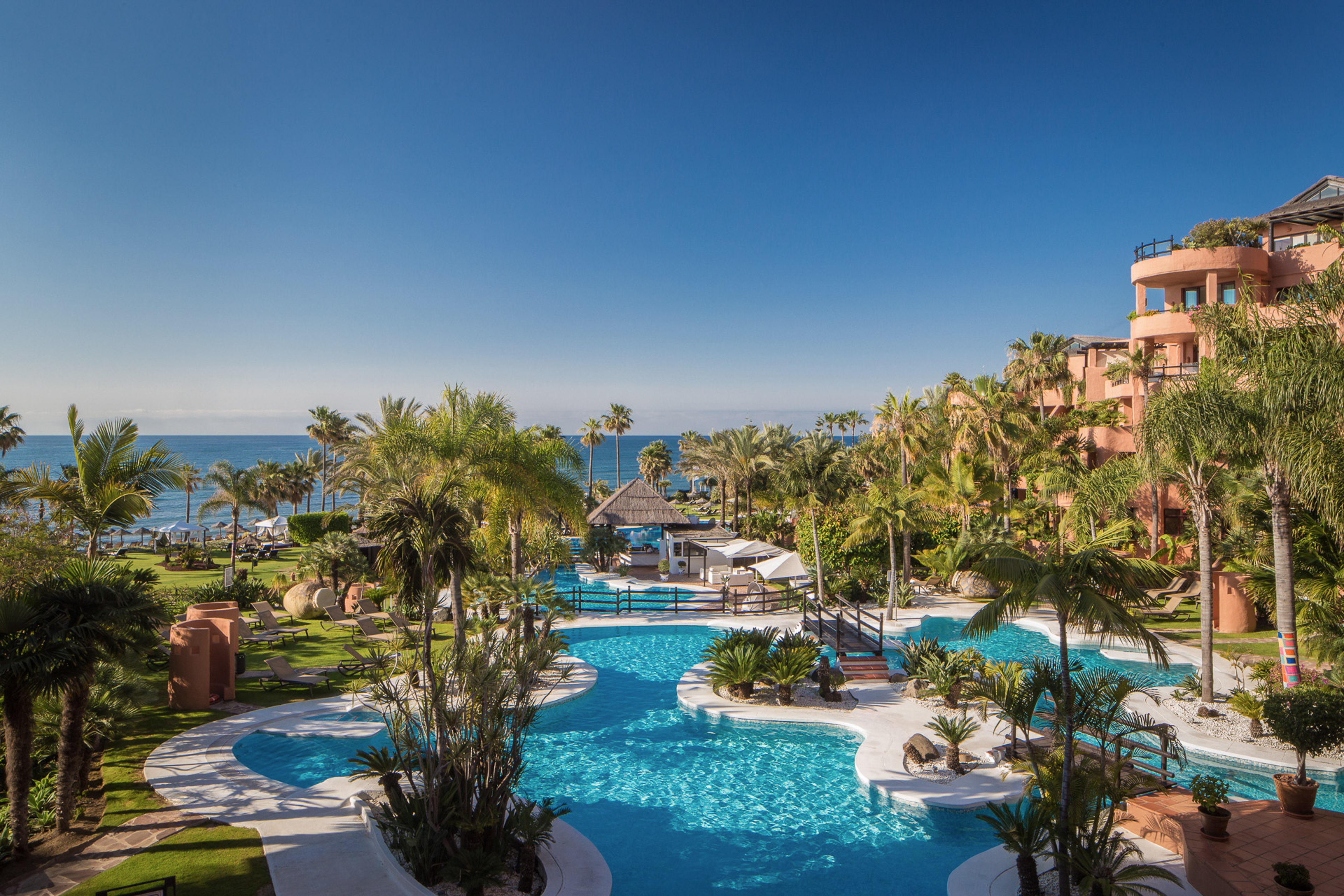 Tropical resort pool with ocean view, palm trees, and luxury hotel.