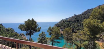 a view of a body of water from a balcony