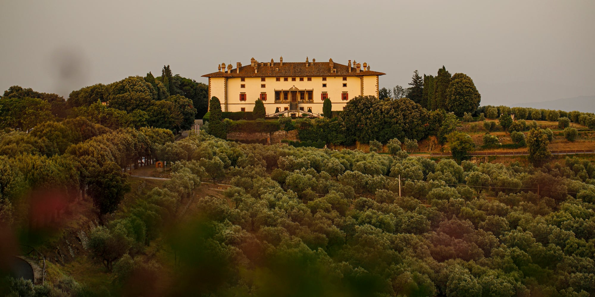 a large white building with many trees in the background