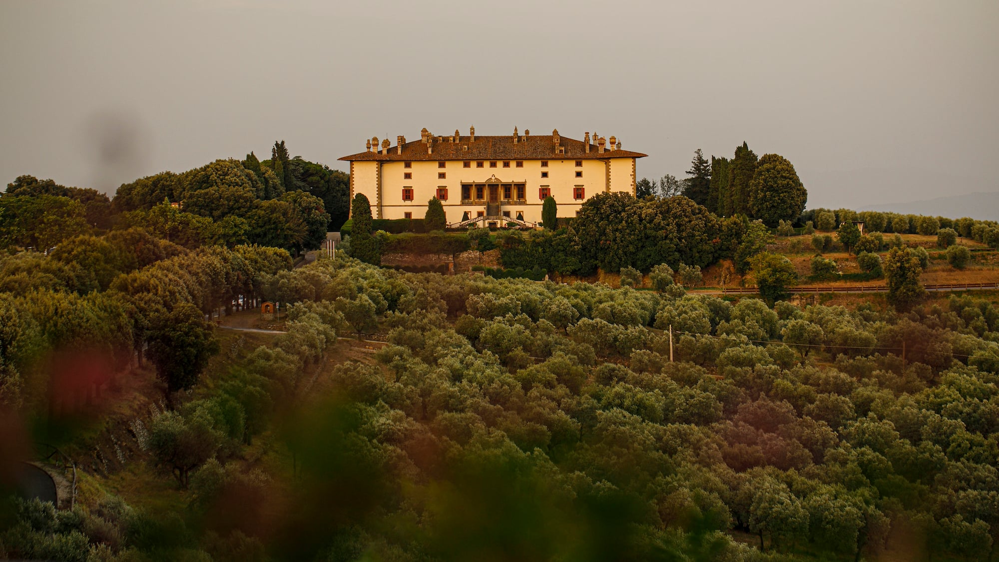 a large white building with many trees in the background