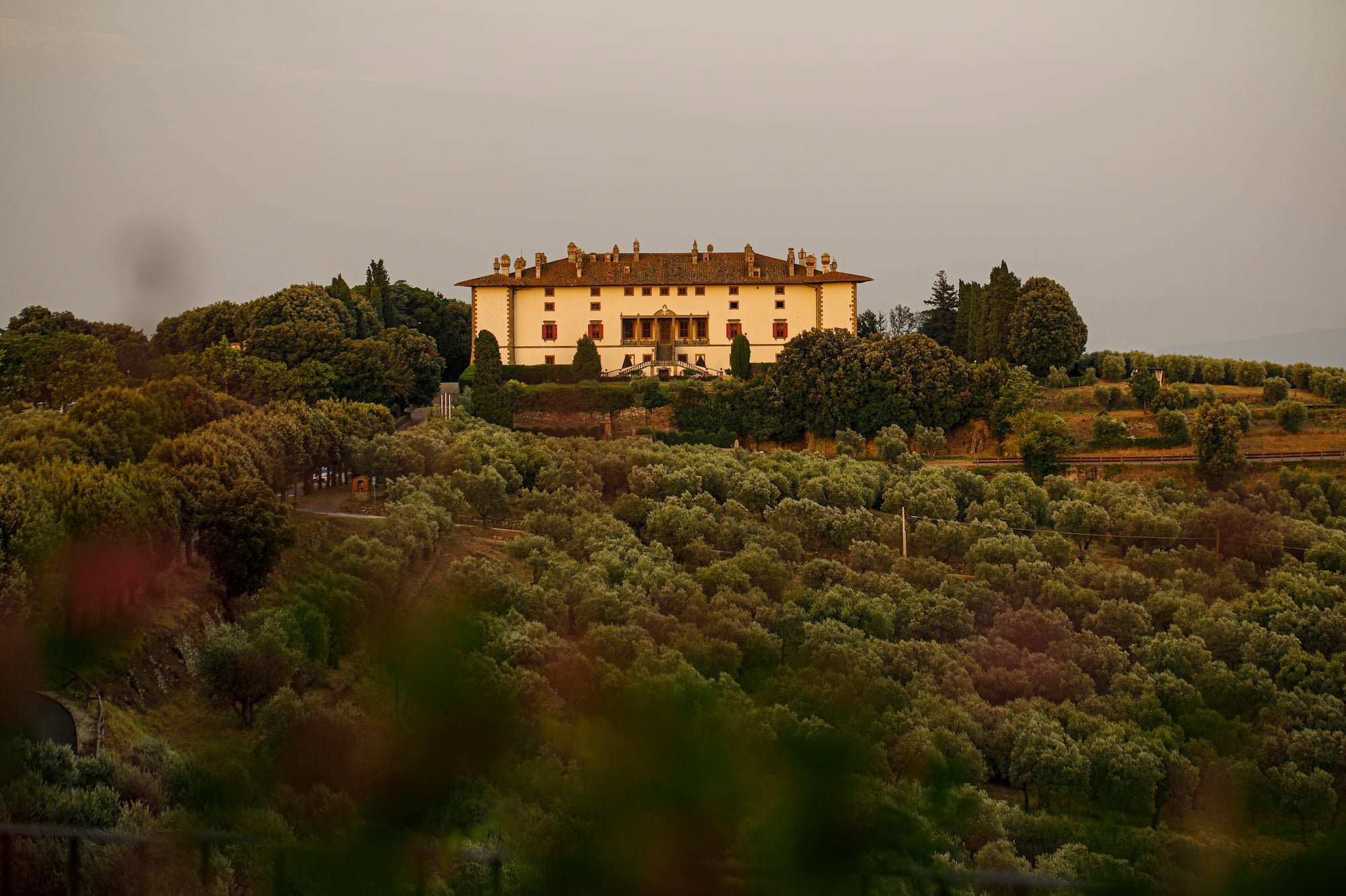 a large white building with many trees in the background