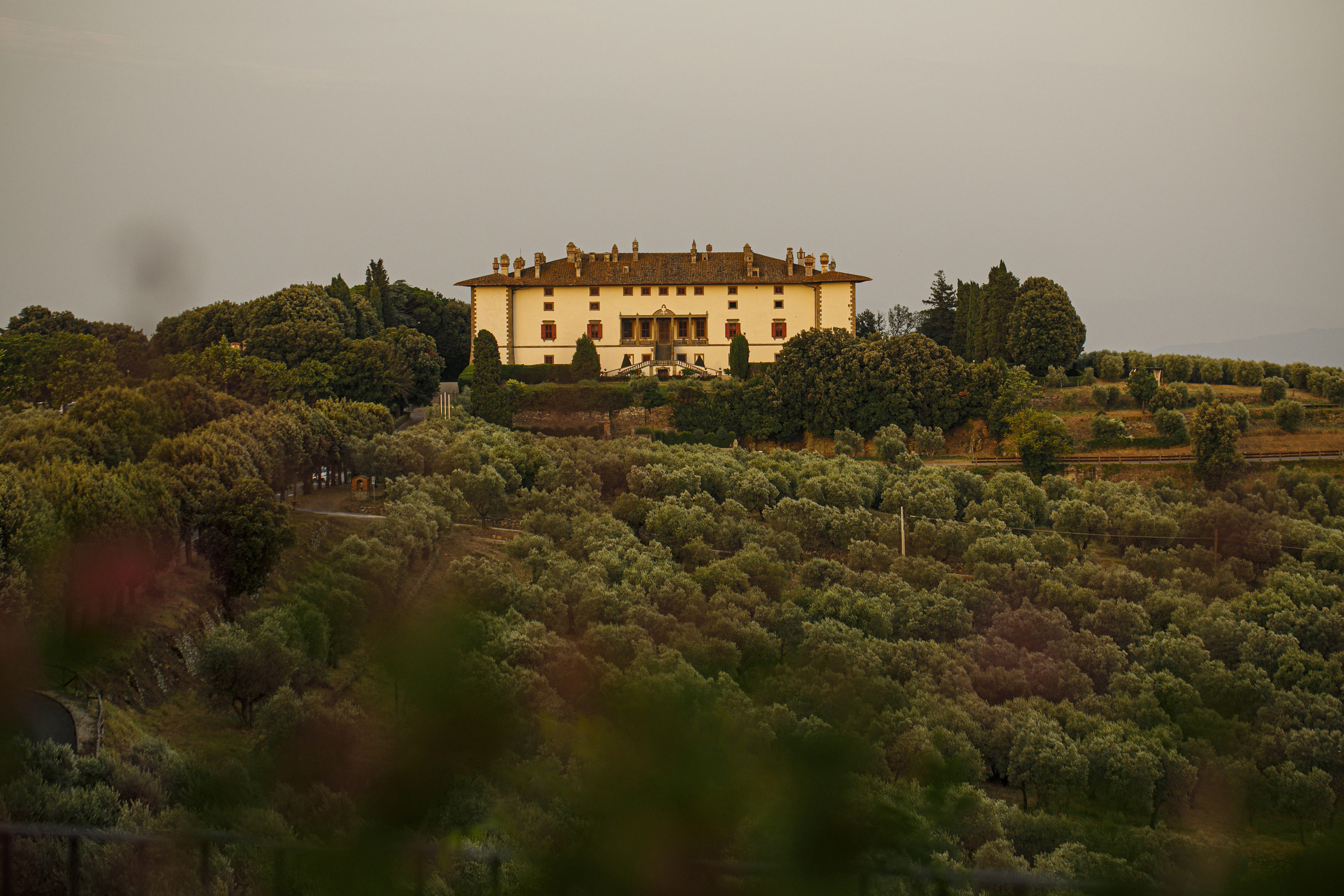 Historic cream villa with red shutters, overlooking vast olive groves.