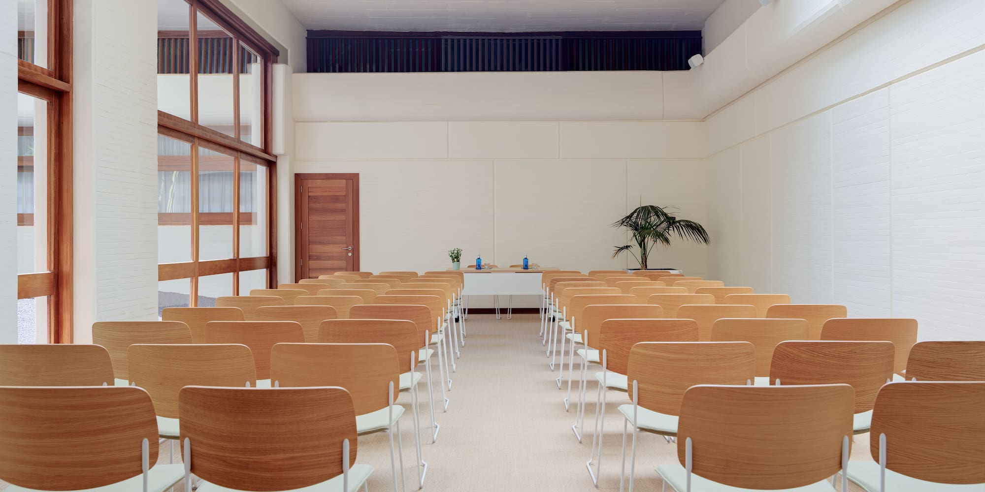a room with chairs and a plant