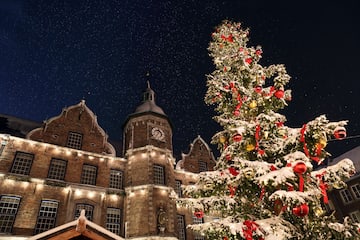 a tree with lights and ornaments in front of a building