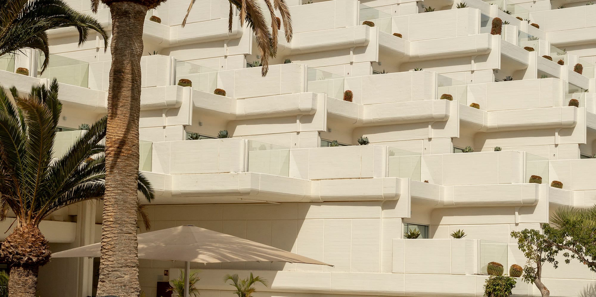 a white building with palm trees and a pool
