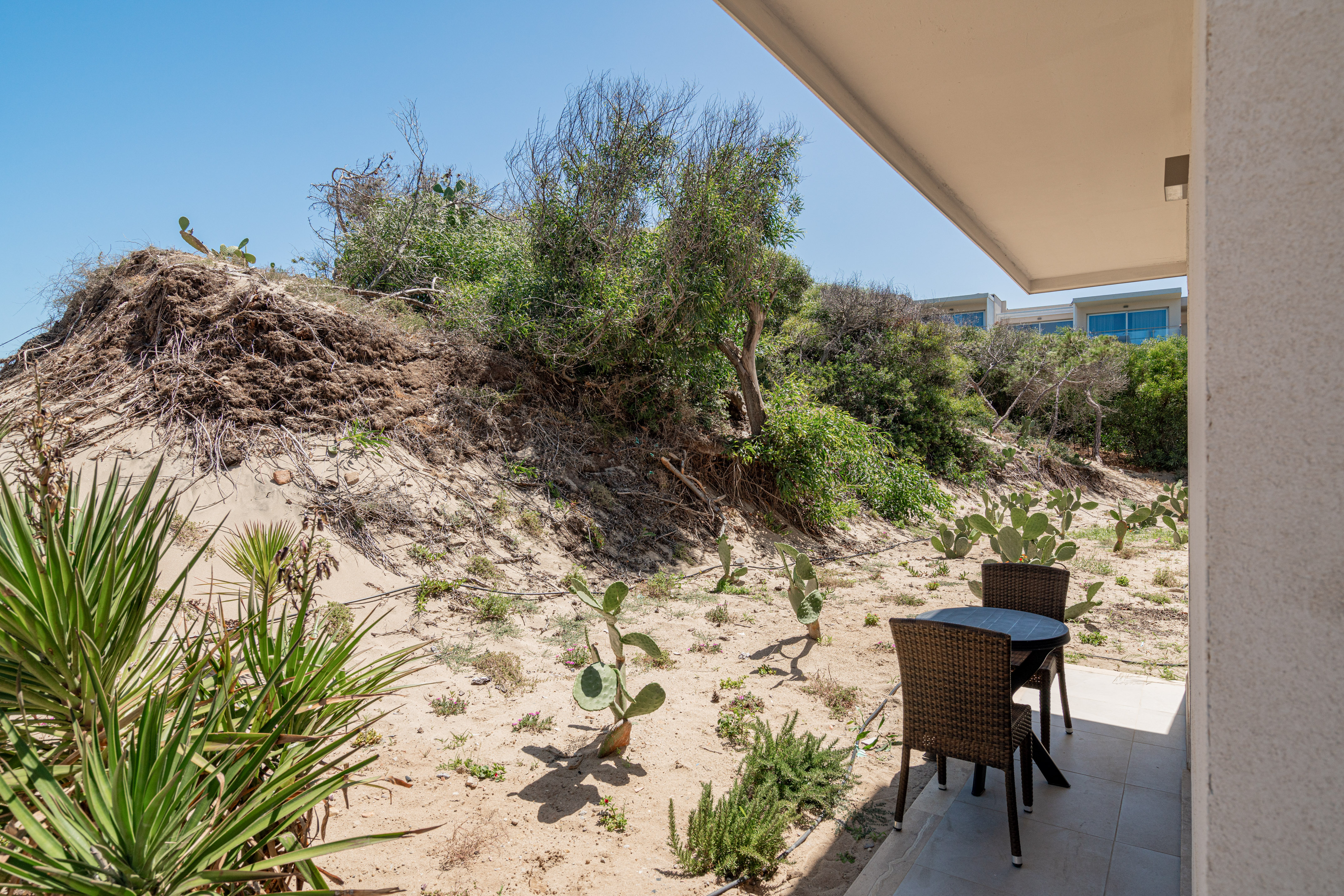 Coastal patio with outdoor seating, sandy dunes, and desert cacti.