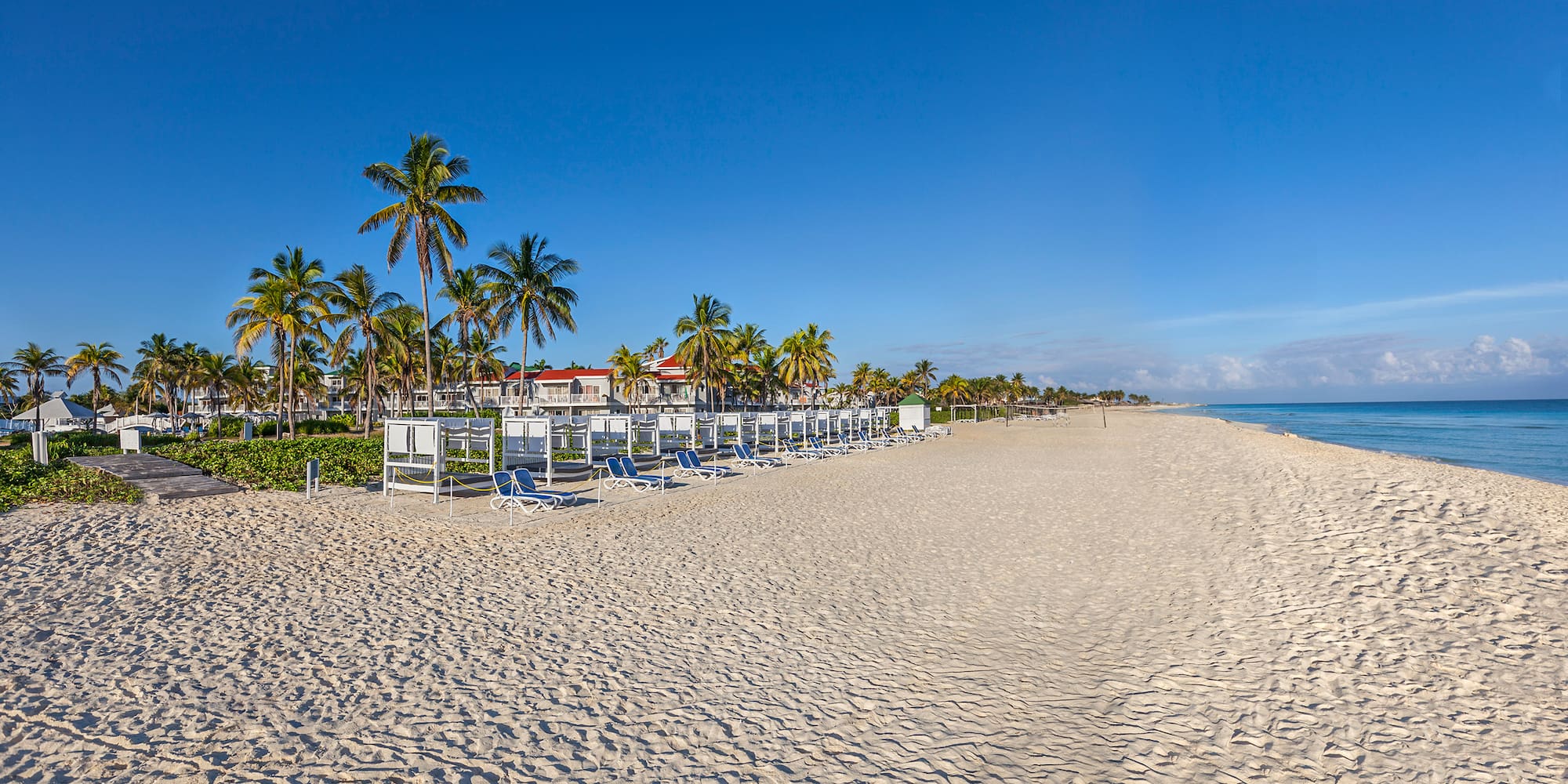 a beach with chairs and trees