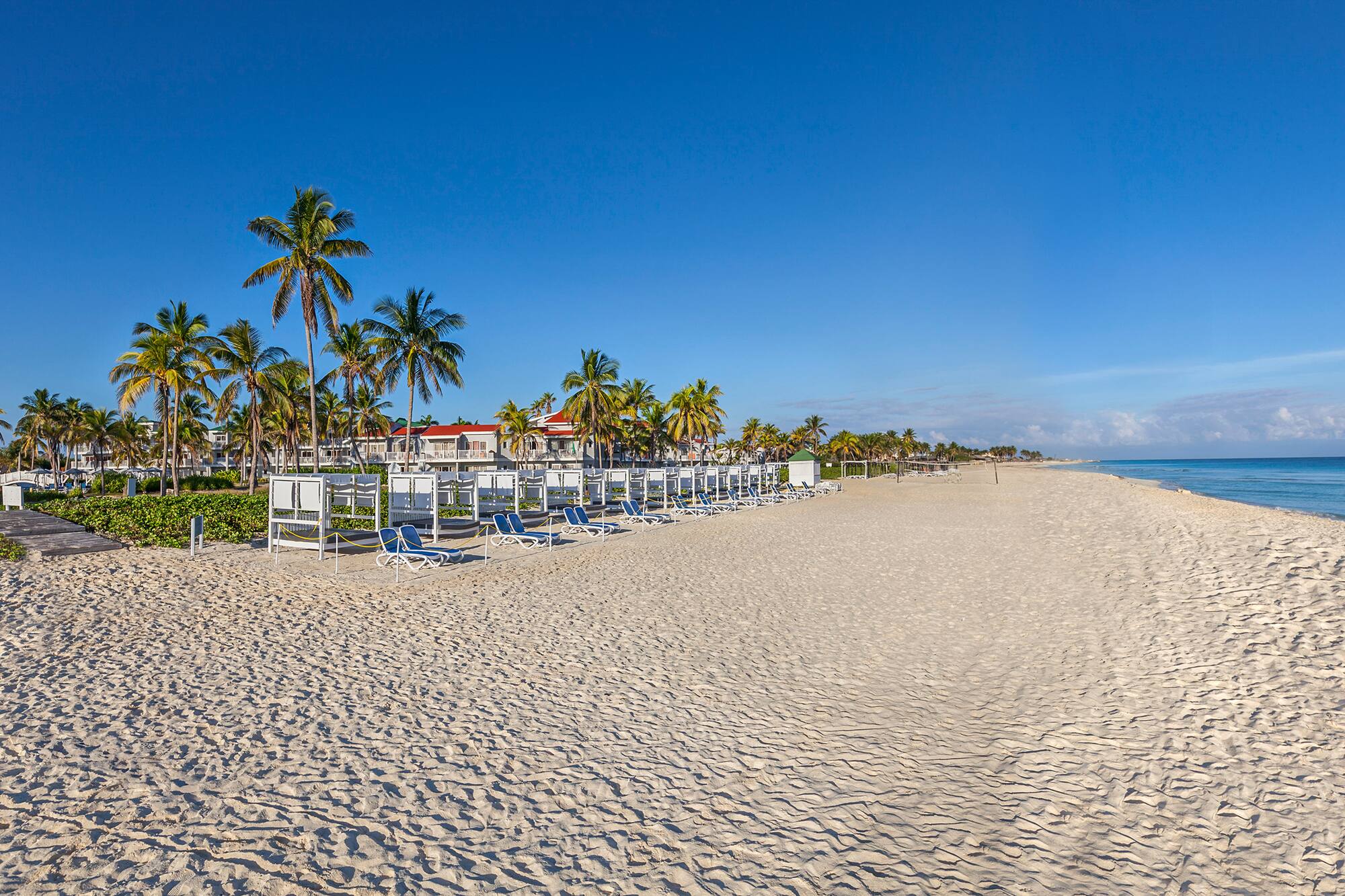 a beach with chairs and trees