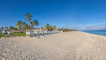 a beach with chairs and trees