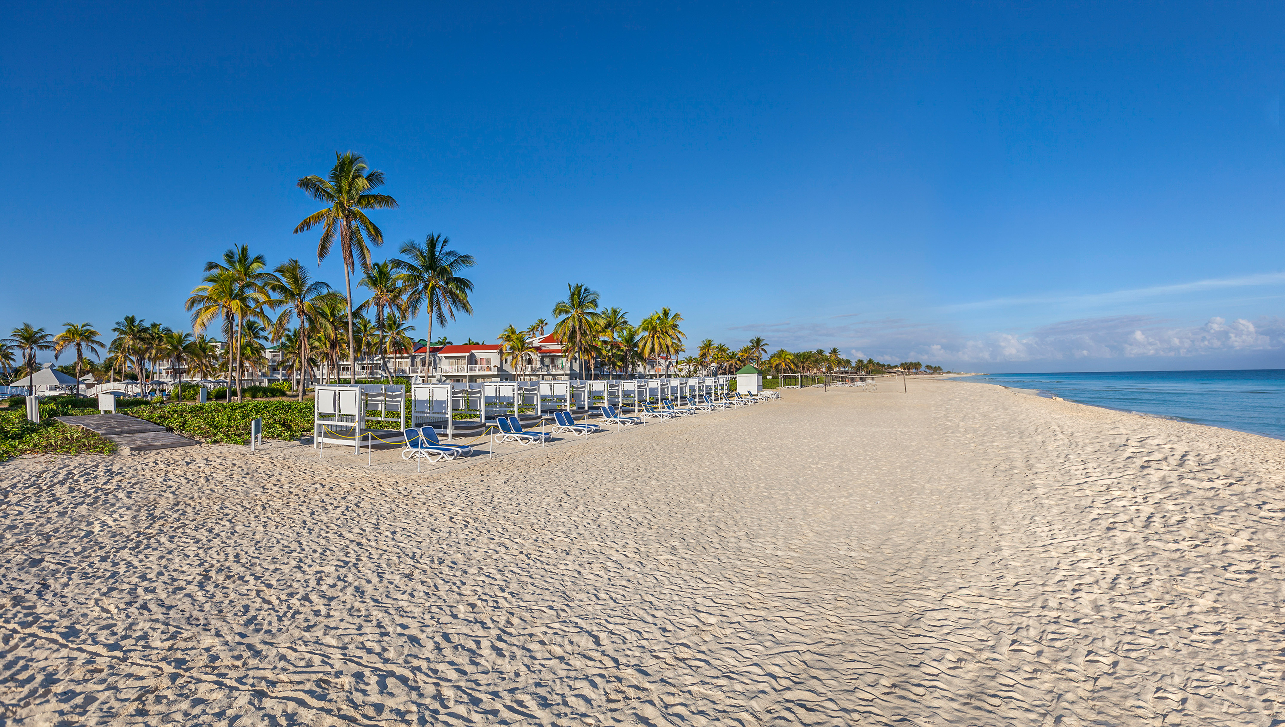 a beach with chairs and trees