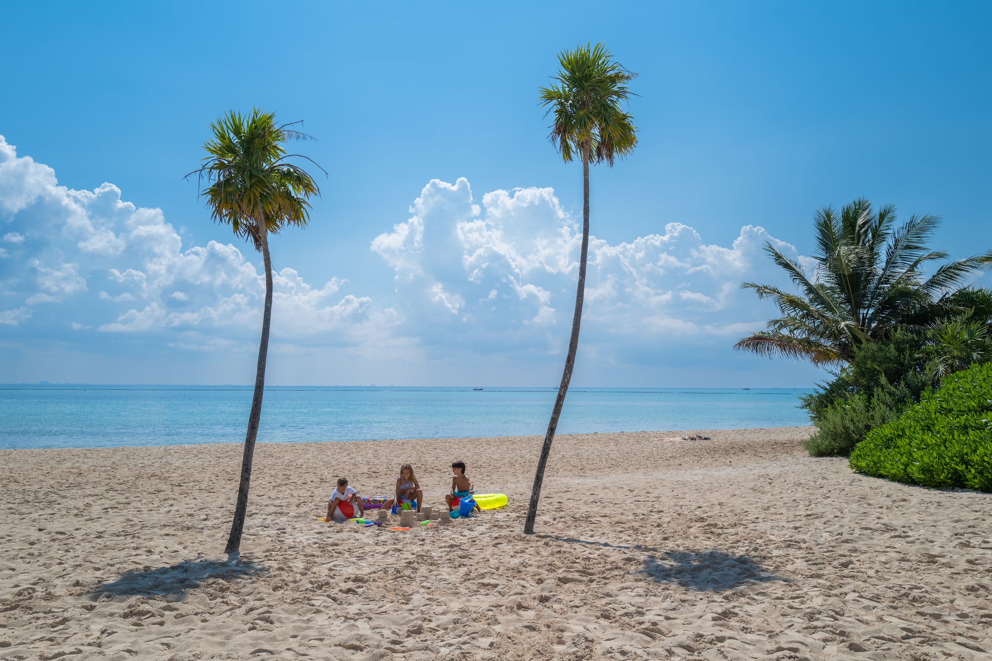 a group of people on a beach