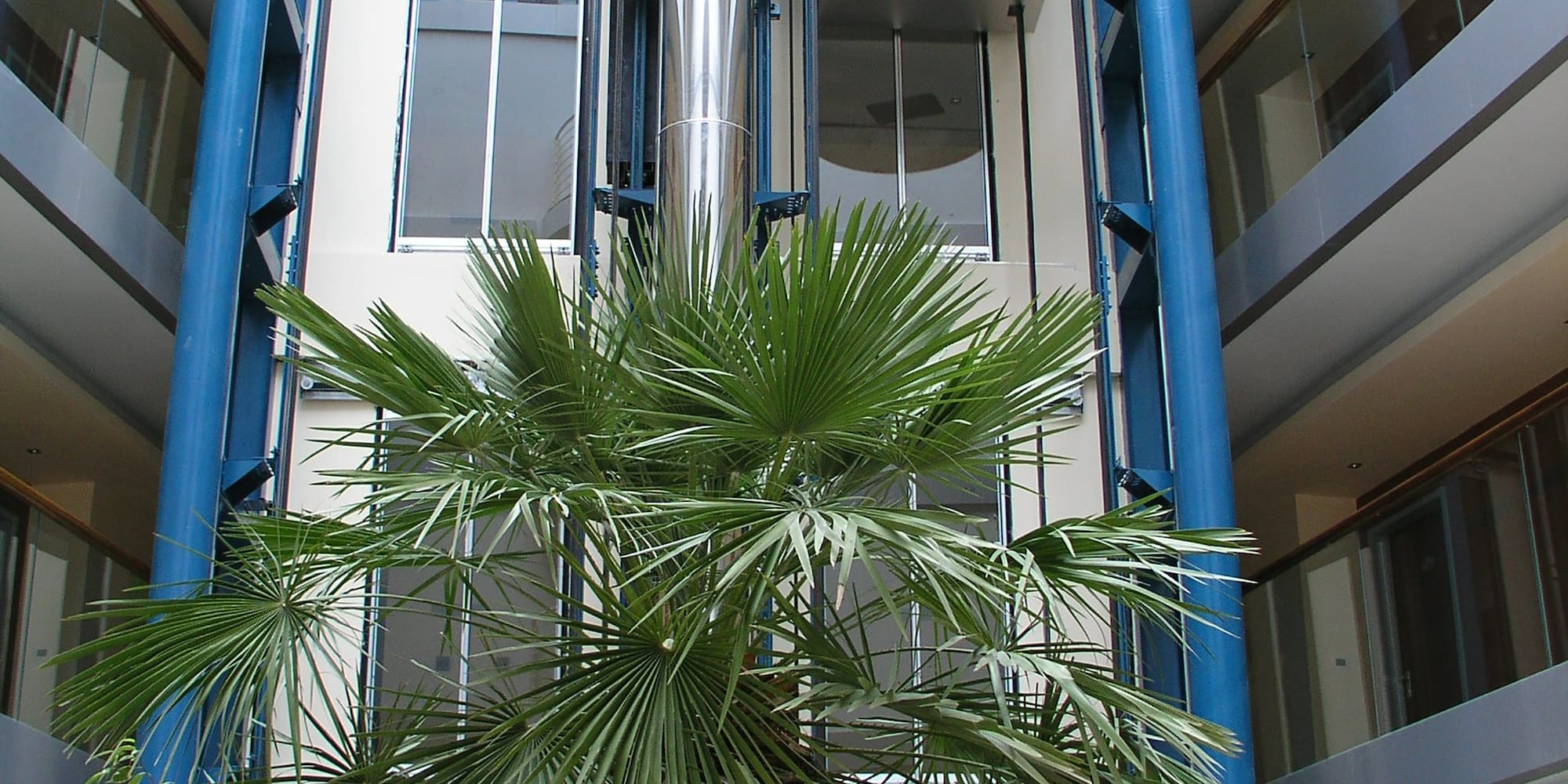 a plant in a building
