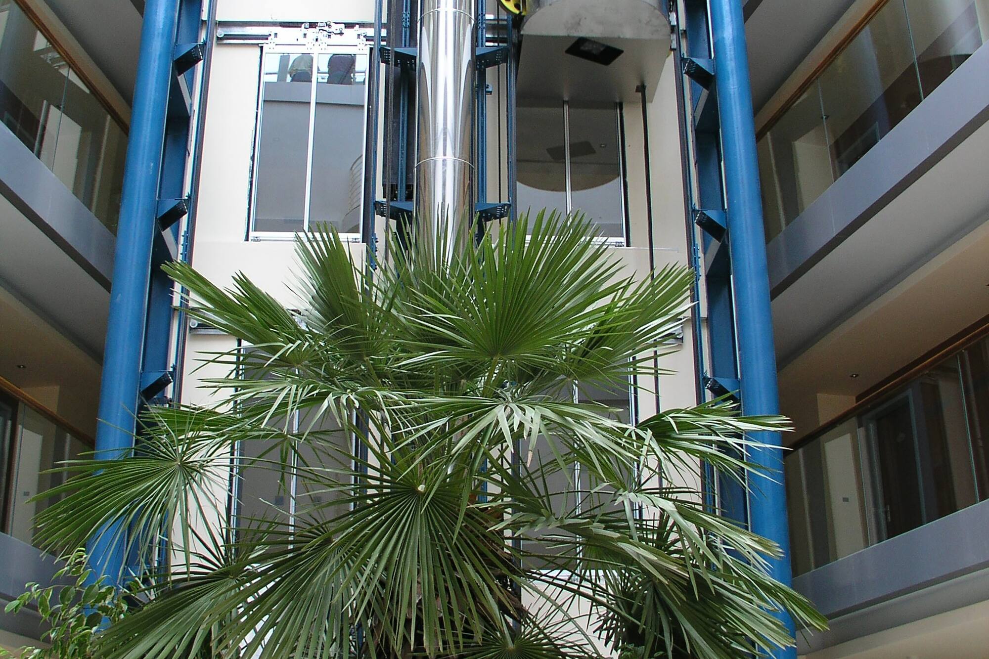 a plant in a building
