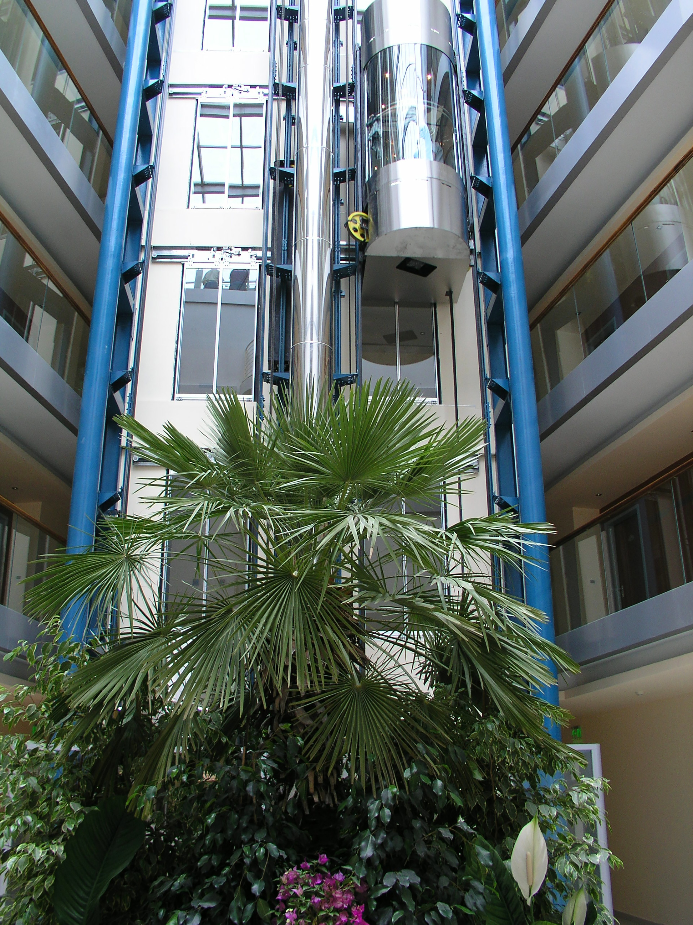 a plant in a building