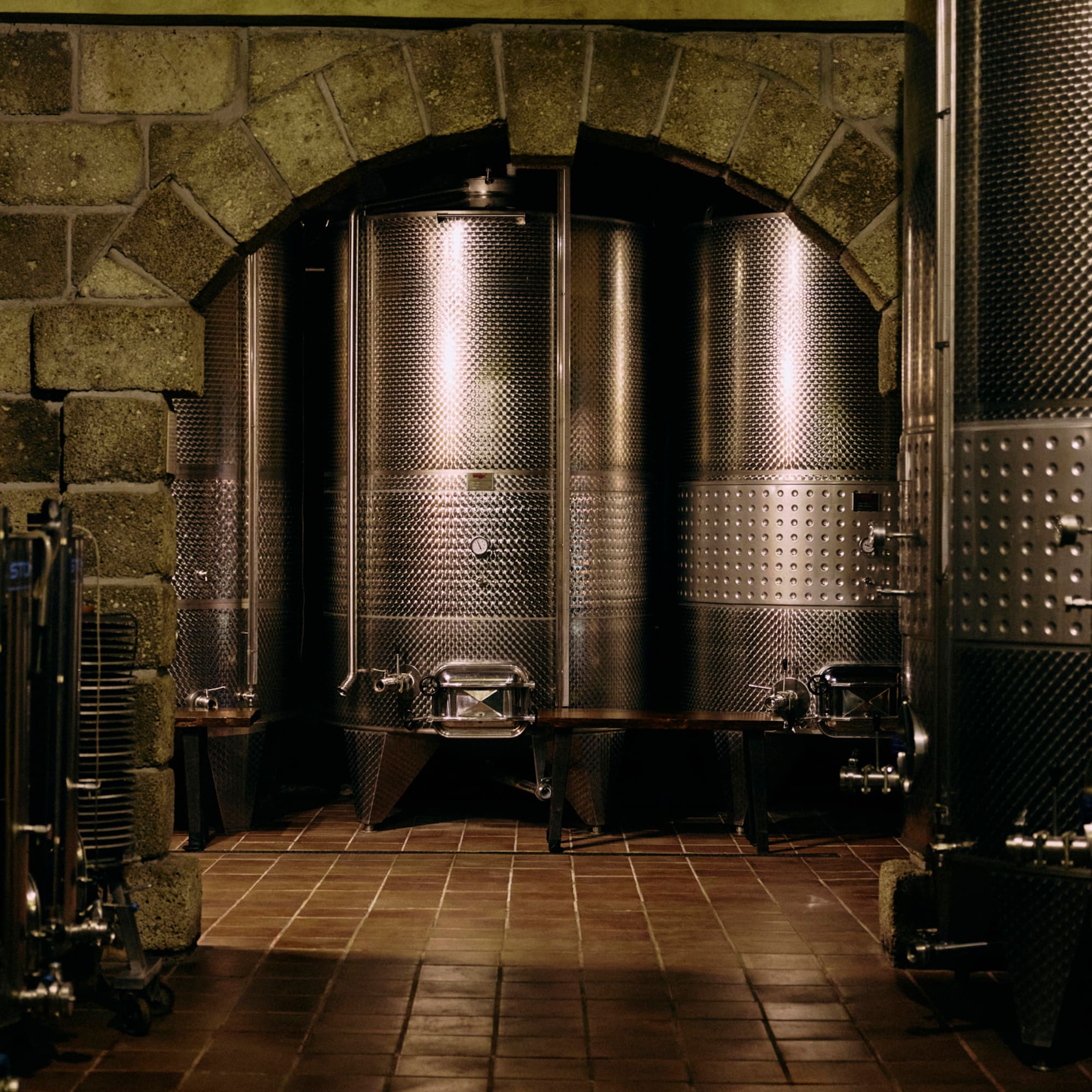Dark winery cellar with stainless steel fermentation tanks and stone arch.