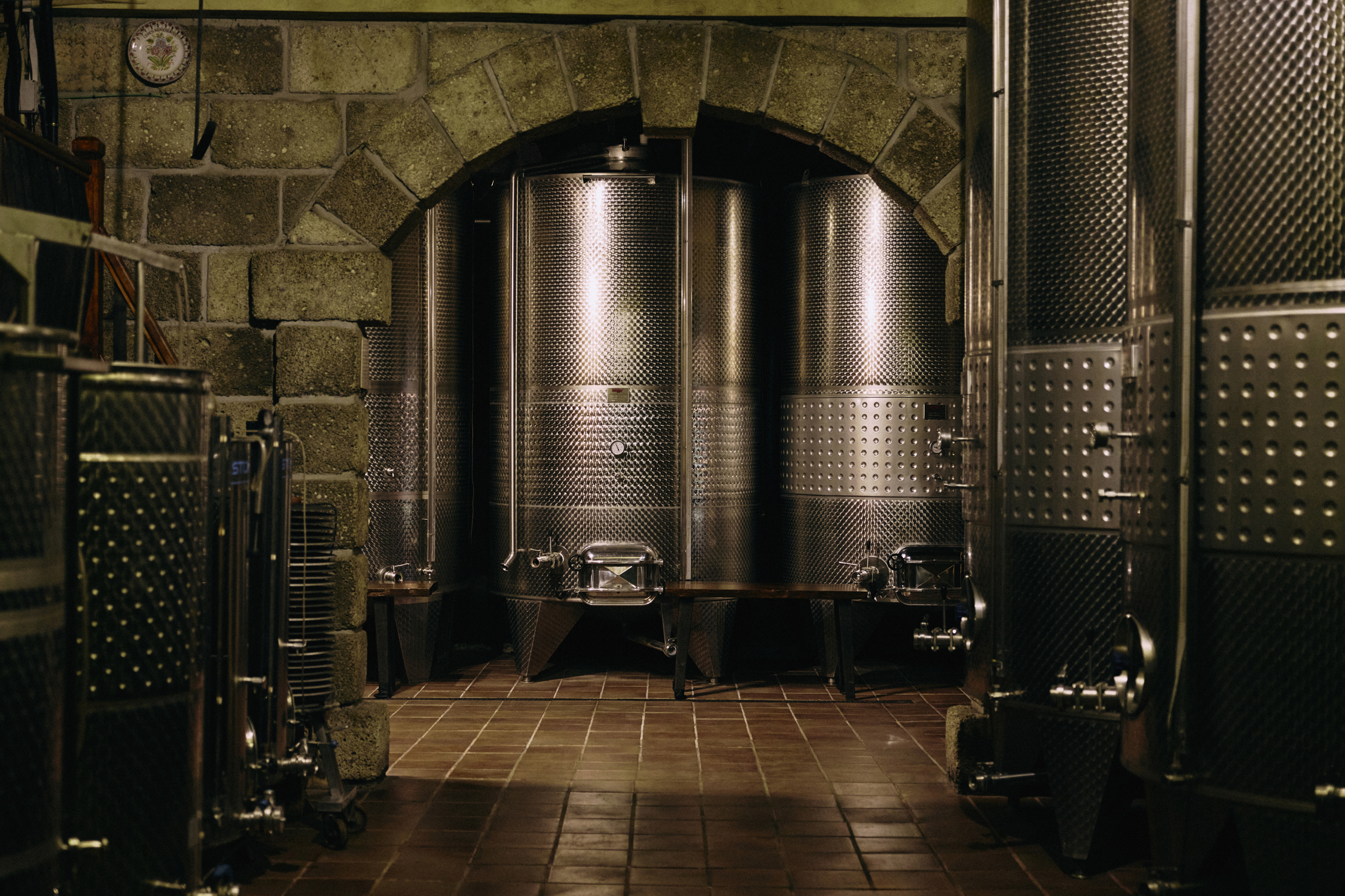 Dark winery cellar with stainless steel fermentation tanks and stone arch.