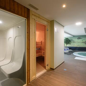 a room with a sauna and a pool