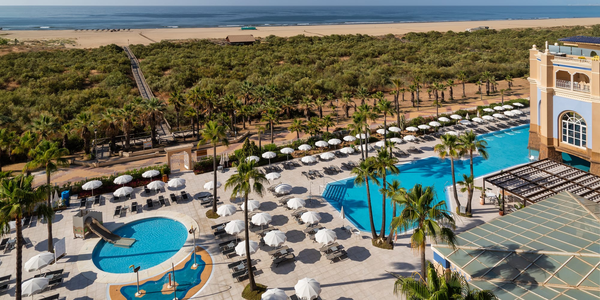 a swimming pool and trees by a beach