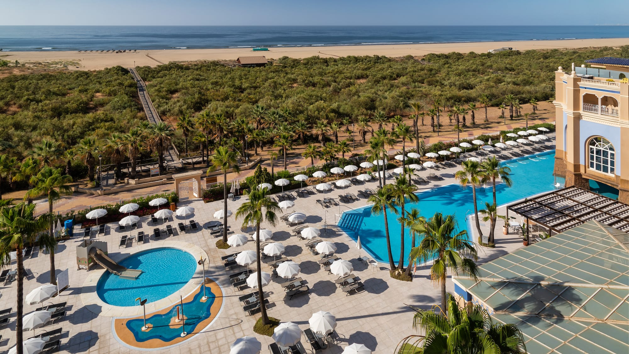 a swimming pool and trees by a beach