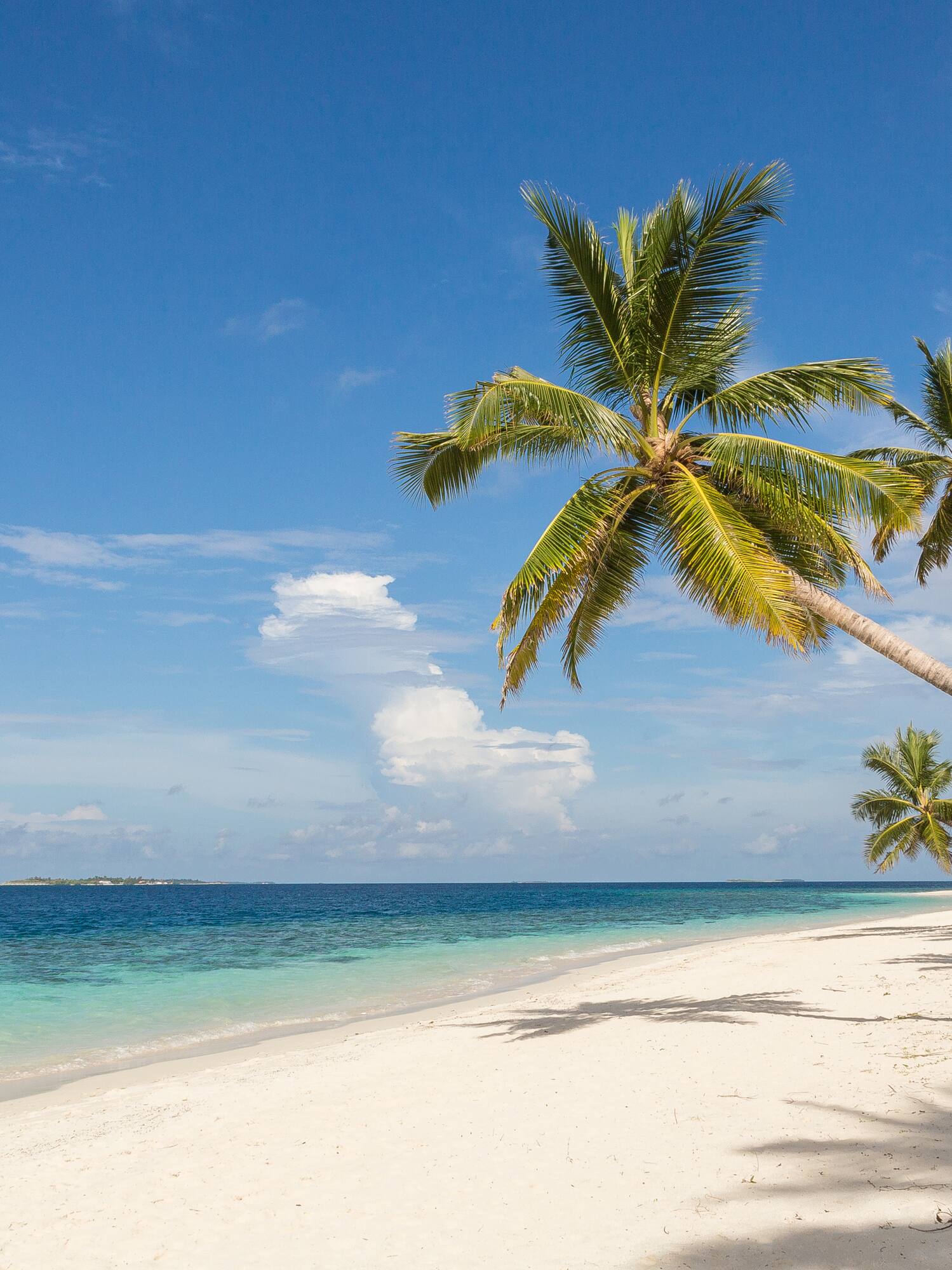 Hoteluri all-inclusive Maldive