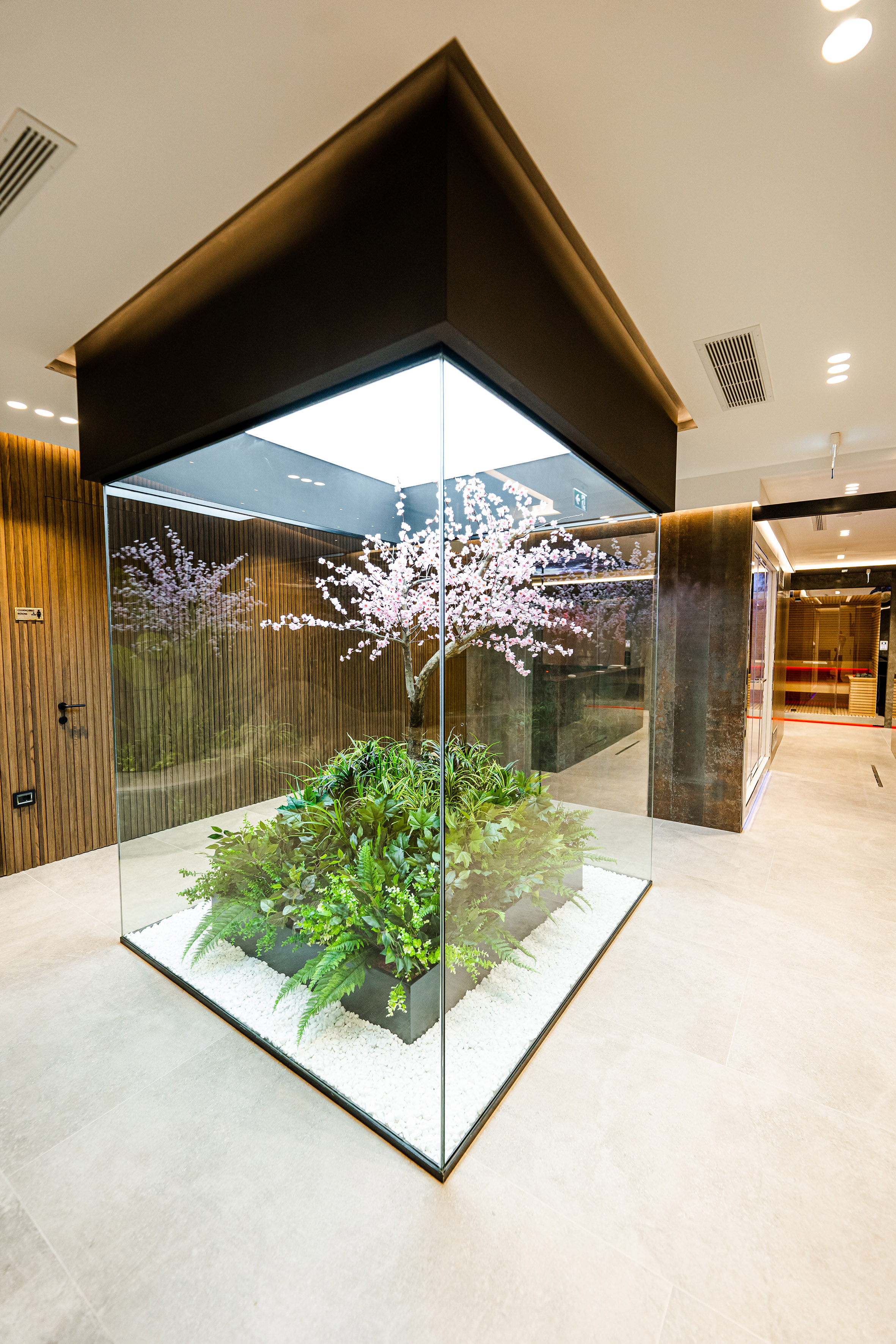 Modern indoor glass garden with pink cherry blossom tree and green plants.
