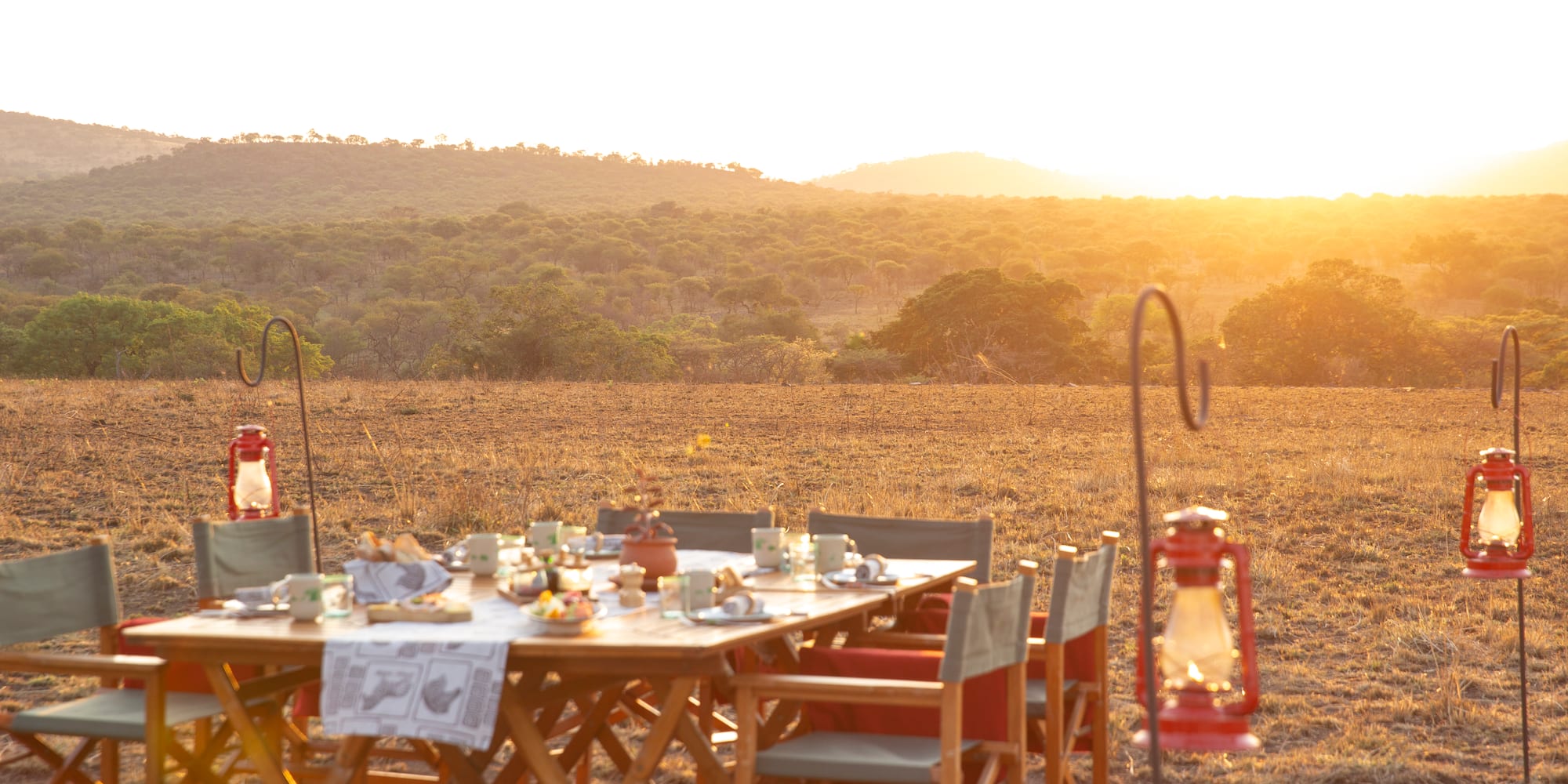 a table set up in a field with a lantern and trees in the background