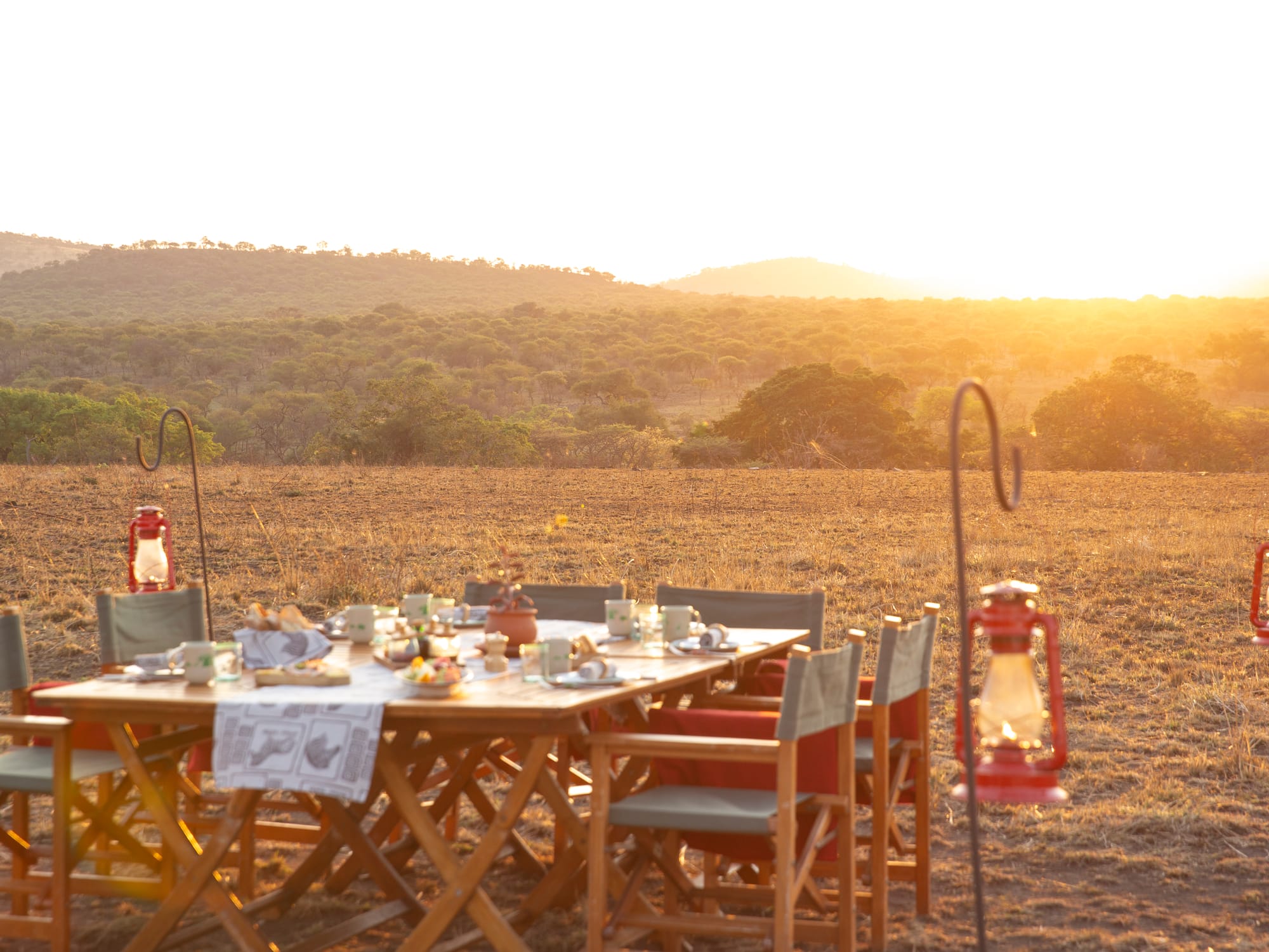 a table set up in a field with a lantern and trees in the background
