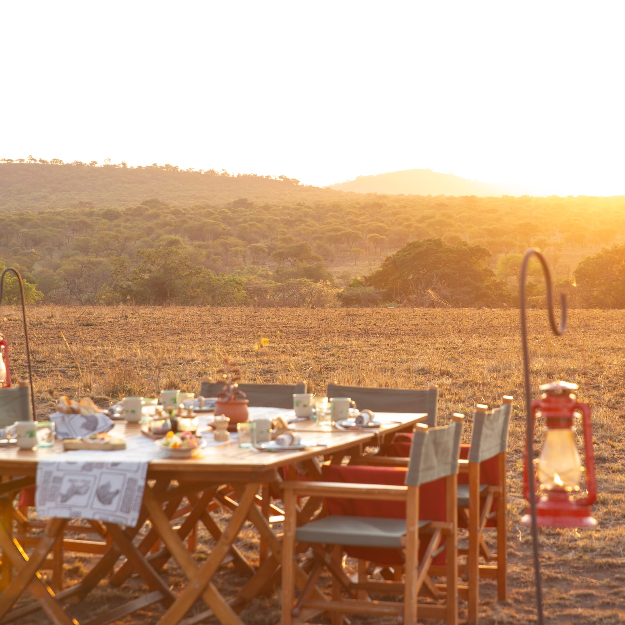 a table set up in a field with a lantern and trees in the background