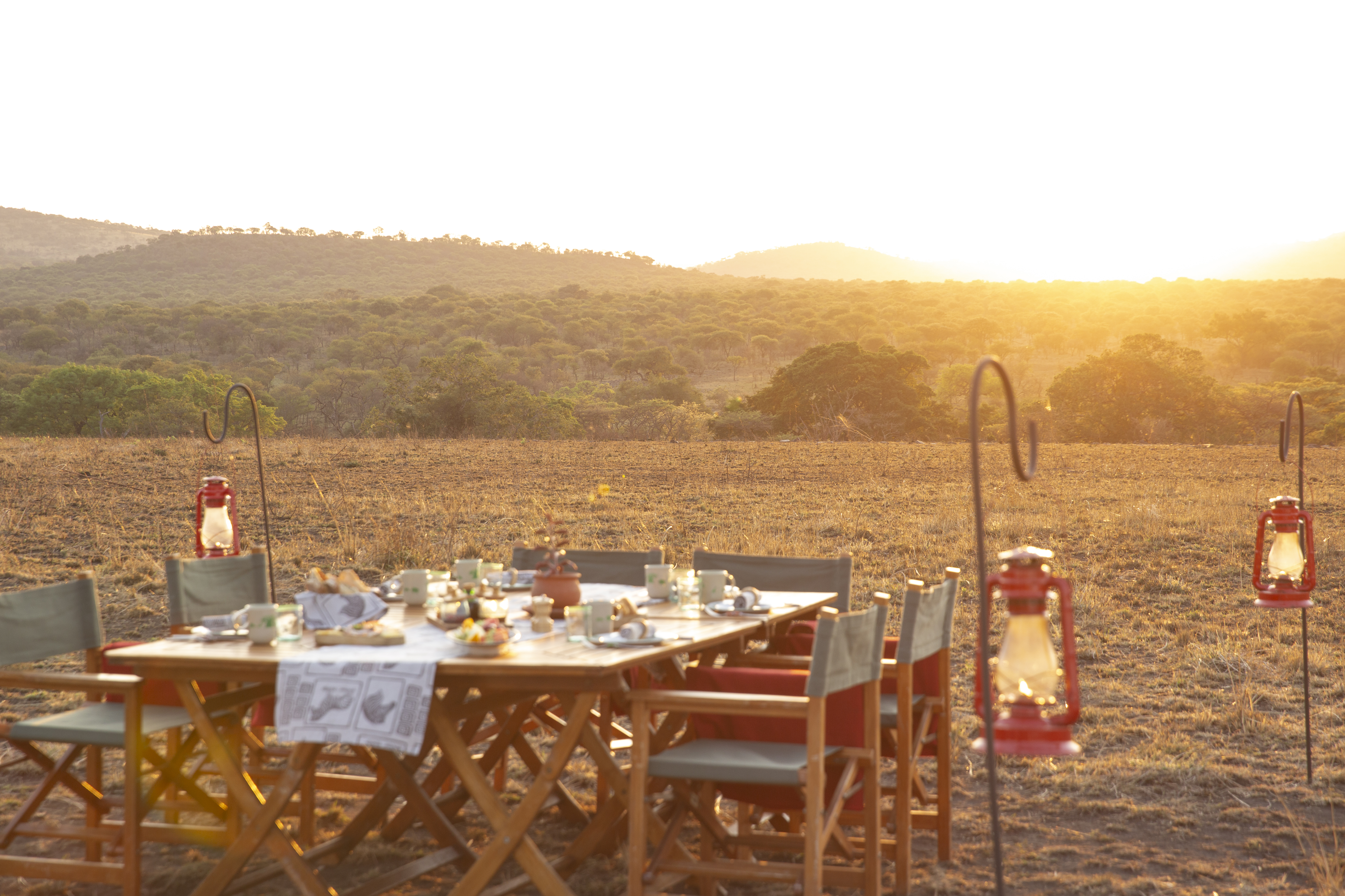 a table set up in a field with a lantern and trees in the background