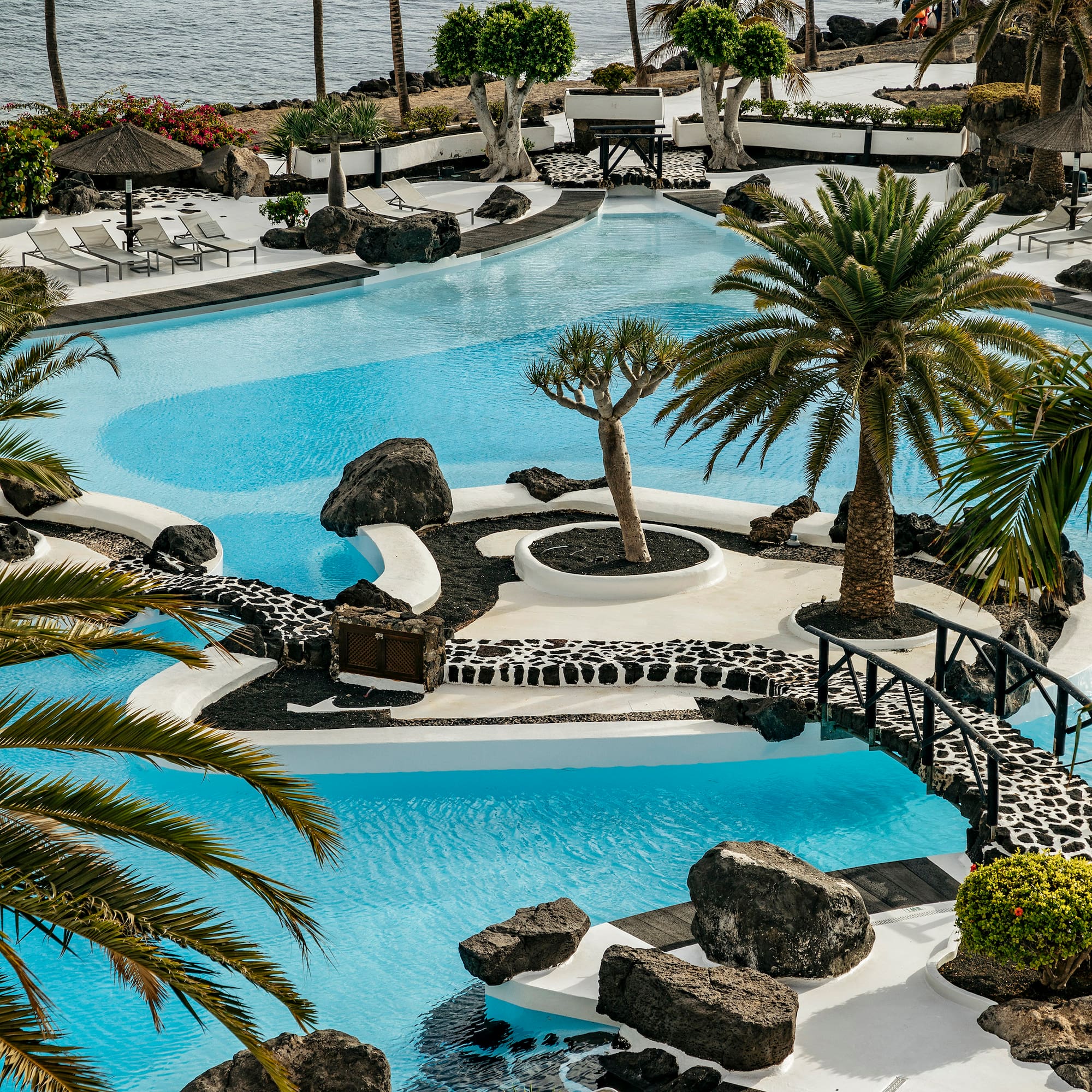 a pool with palm trees and a bridge