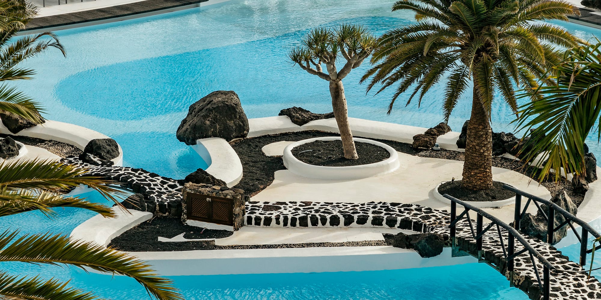 a pool with palm trees and a bridge