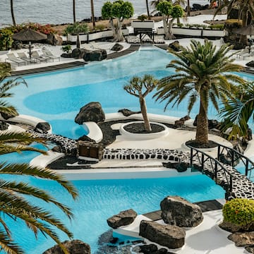 a pool with palm trees and a bridge