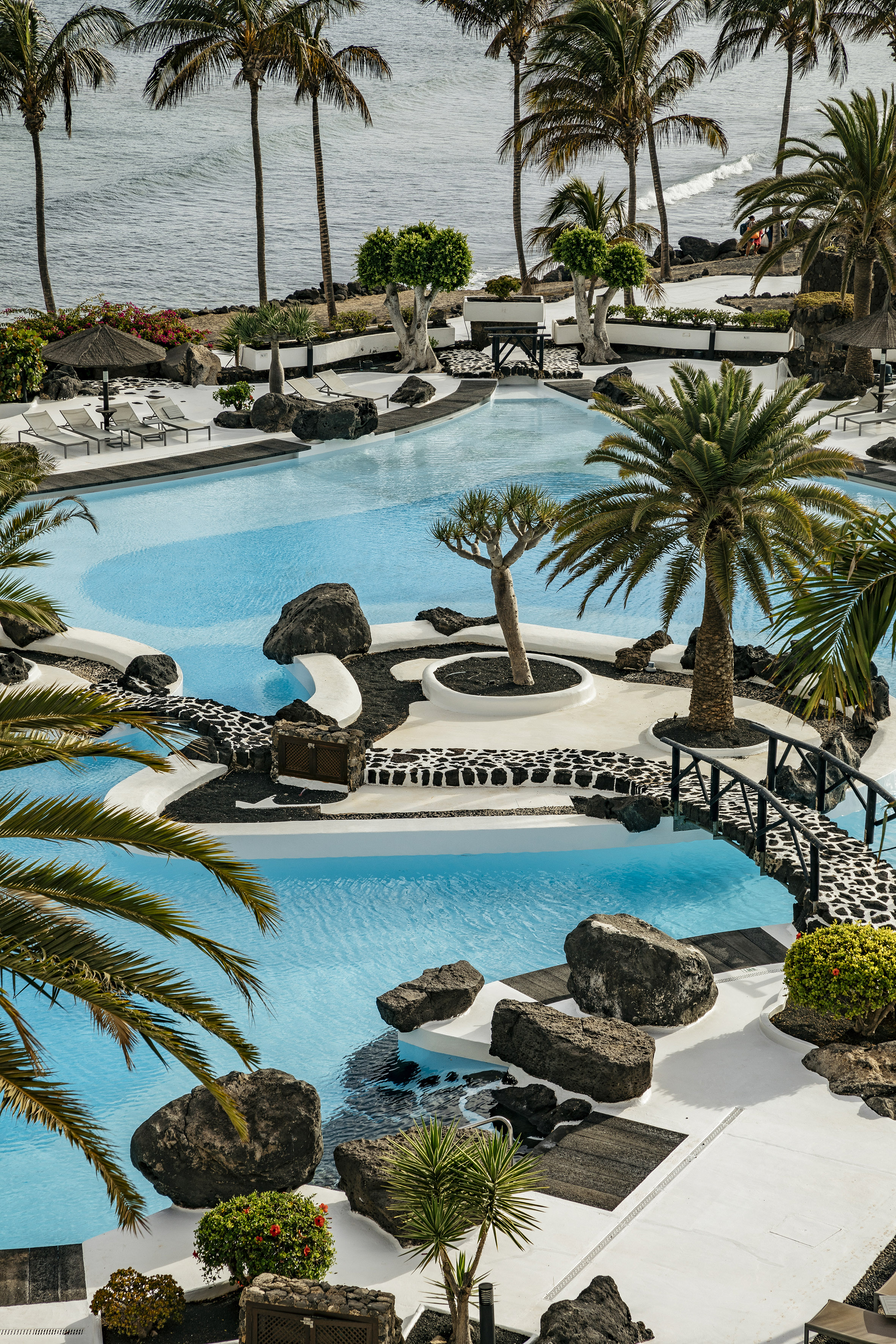 Tropical resort pool with palm trees, volcanic rock landscaping, and ocean view.