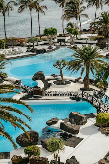 a pool with palm trees and a bridge