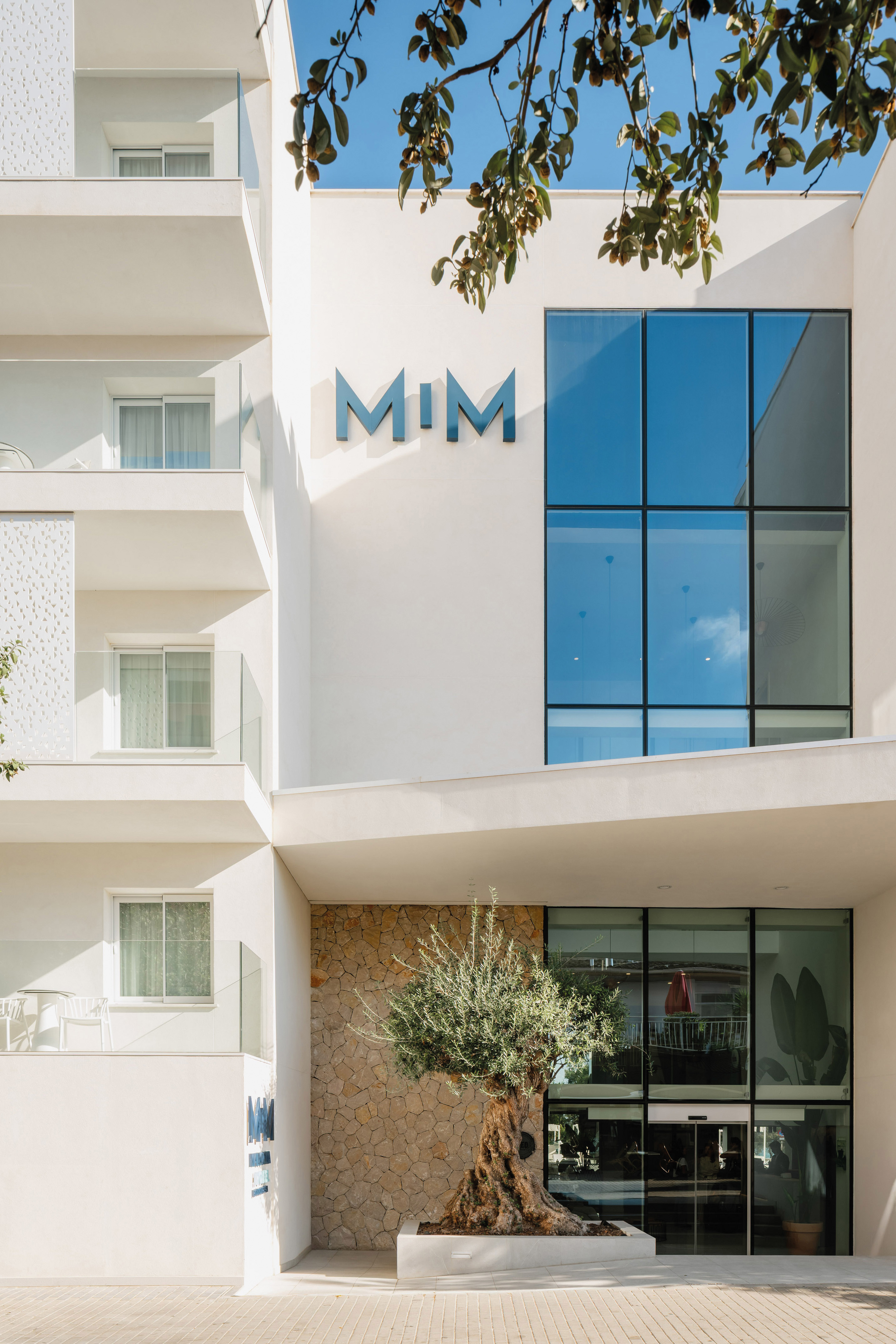 MIM Hotel entrance: white facade, large glass windows, old olive tree.