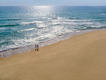 people walking on a beach