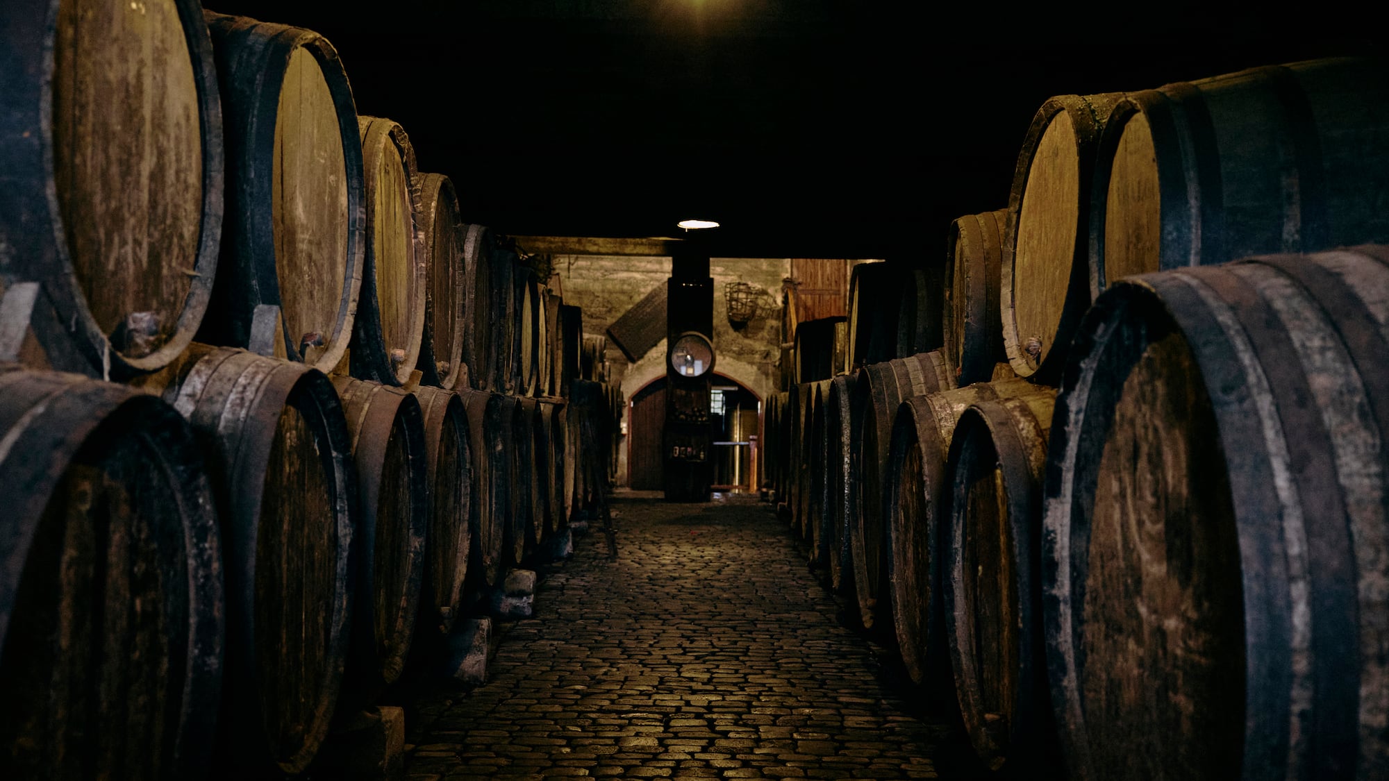 Cobblestone path through a dark cellar lined with wooden wine barrels.