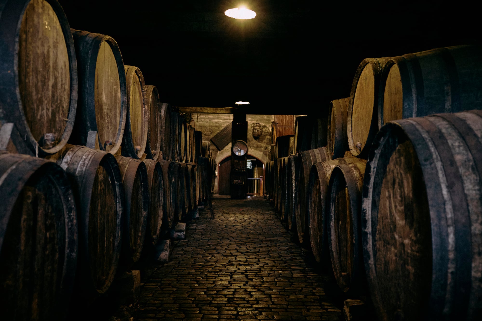 Bodega oscura con barricas de madera y suelo adoquinado.