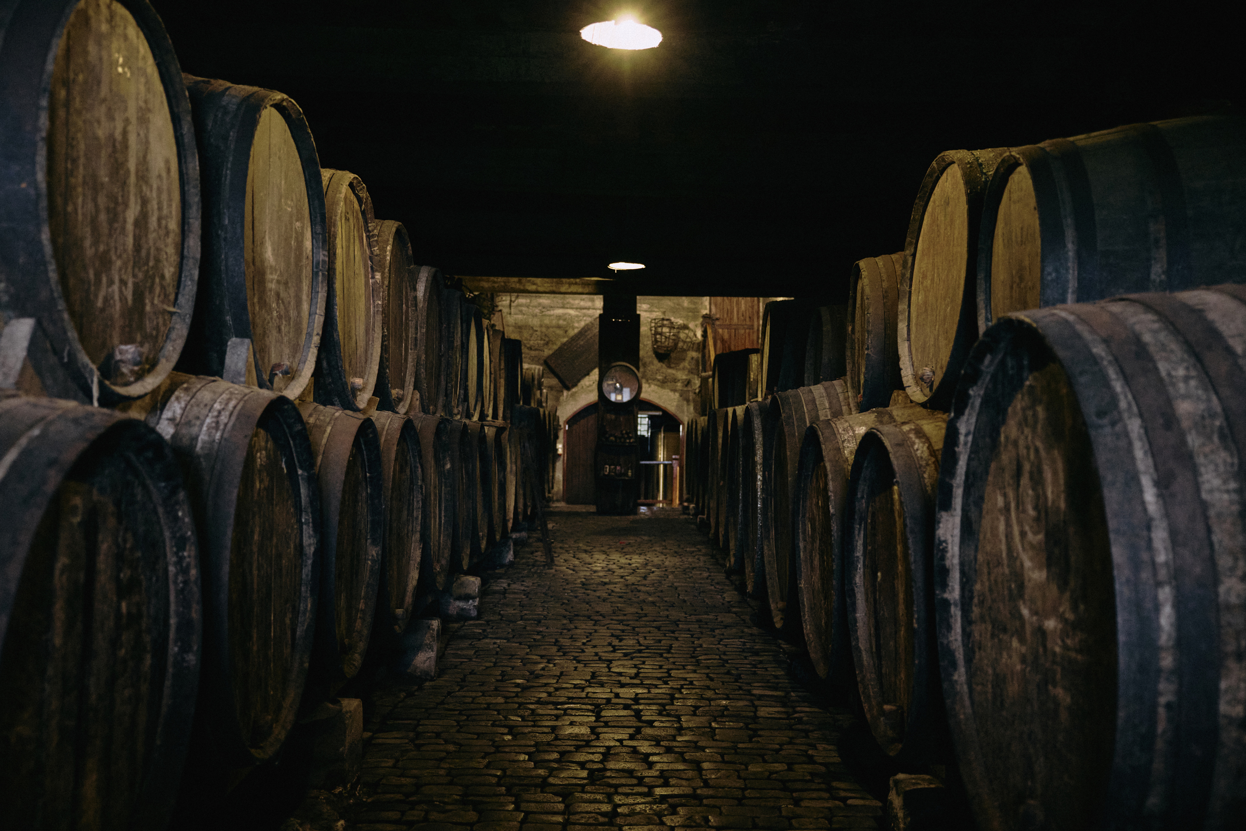 Bodega oscura con barricas de madera y suelo adoquinado.