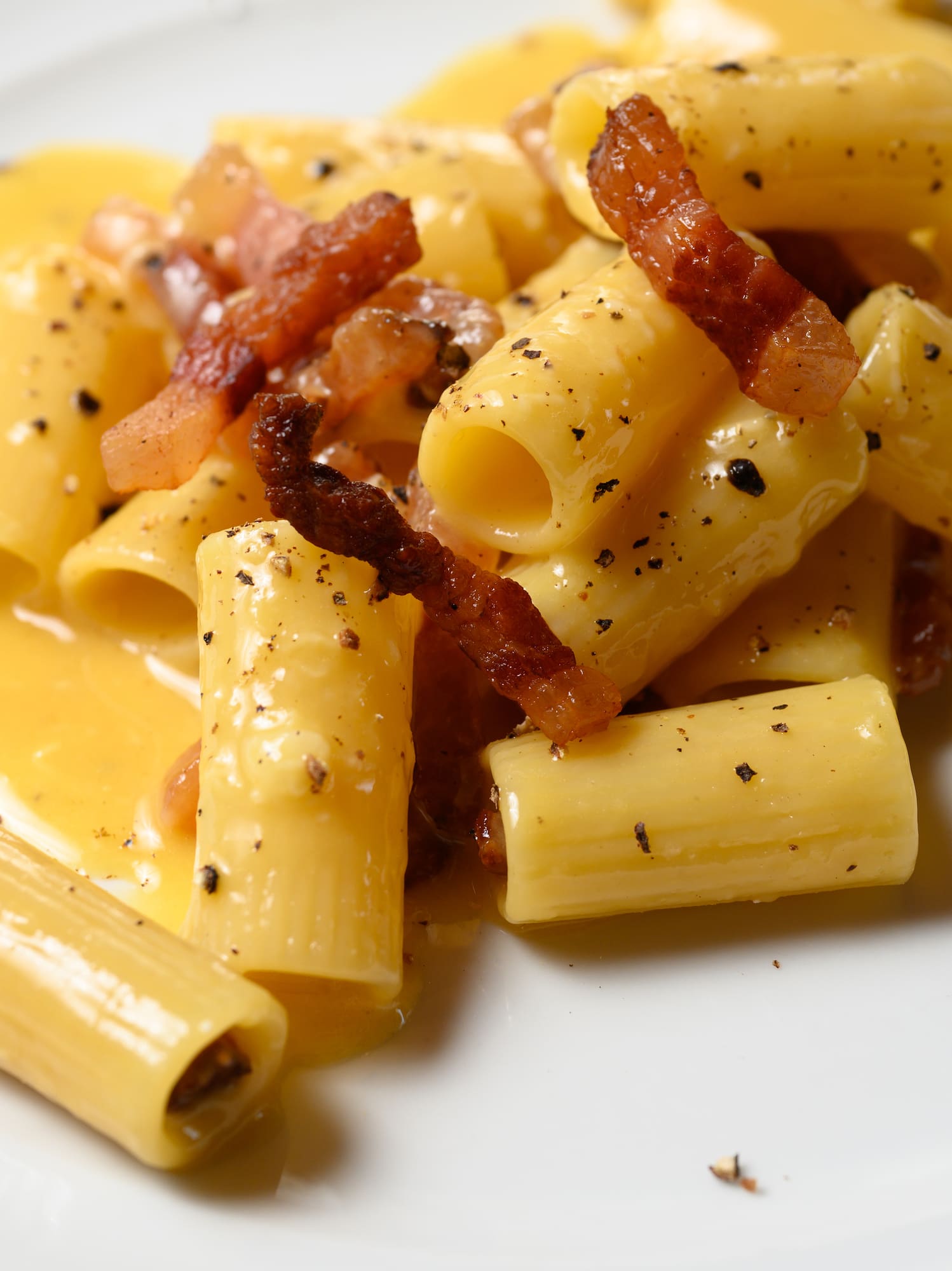 Pasta carbonara with rigatoni, crispy guanciale, and black pepper.