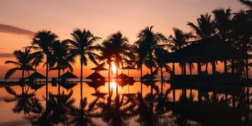 a sunset over a body of water with palm trees