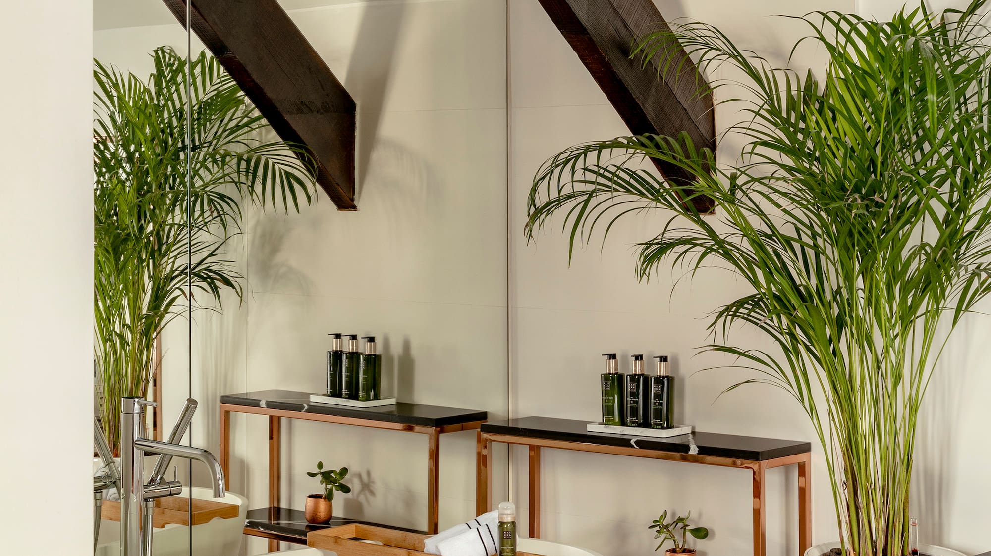 a bathroom with a tub and plants