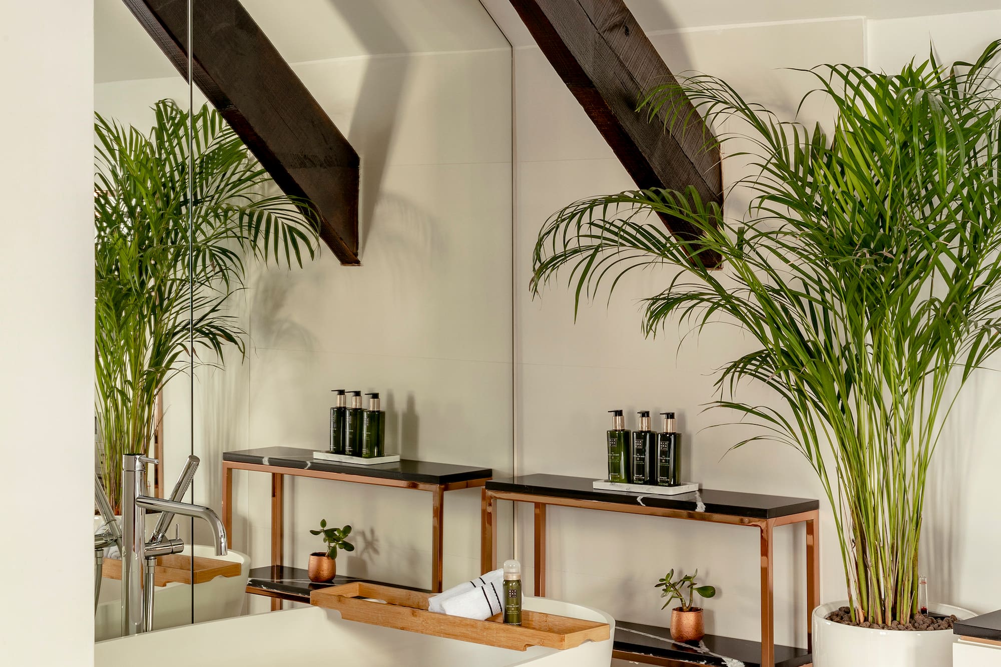a bathroom with a tub and plants