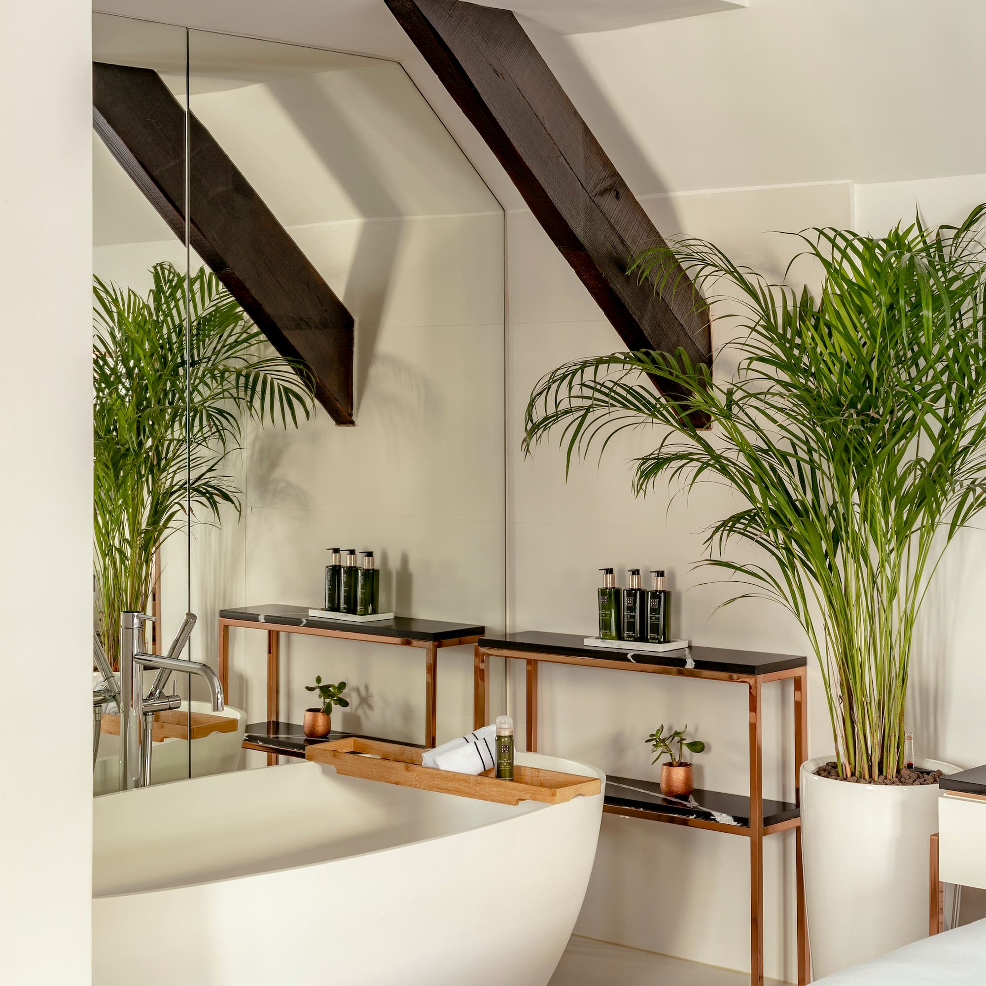 a bathroom with a tub and plants