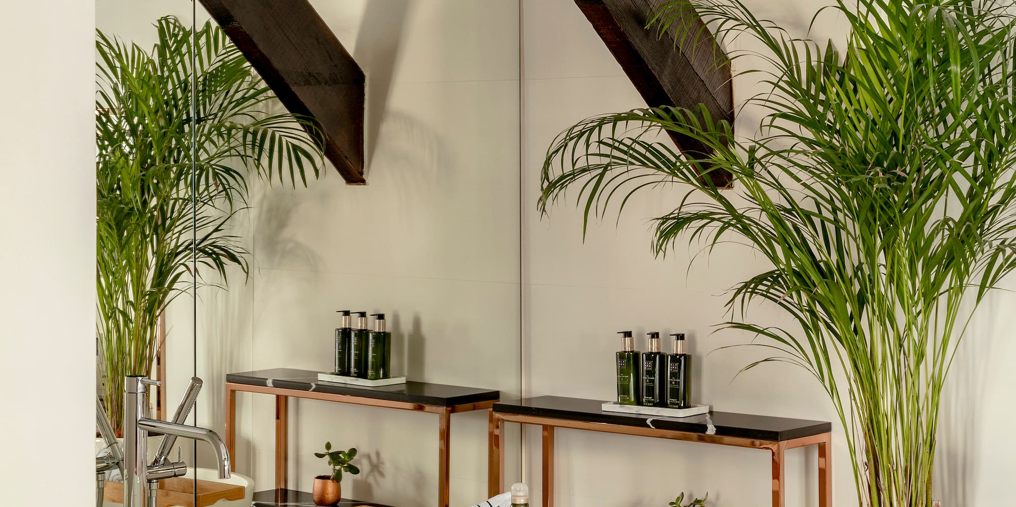 a bathroom with a tub and plants