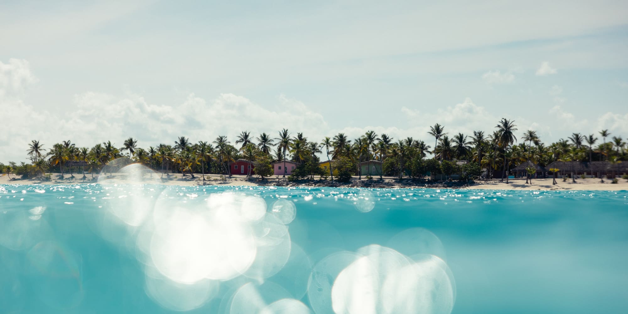 a beach with palm trees and a sandy beach